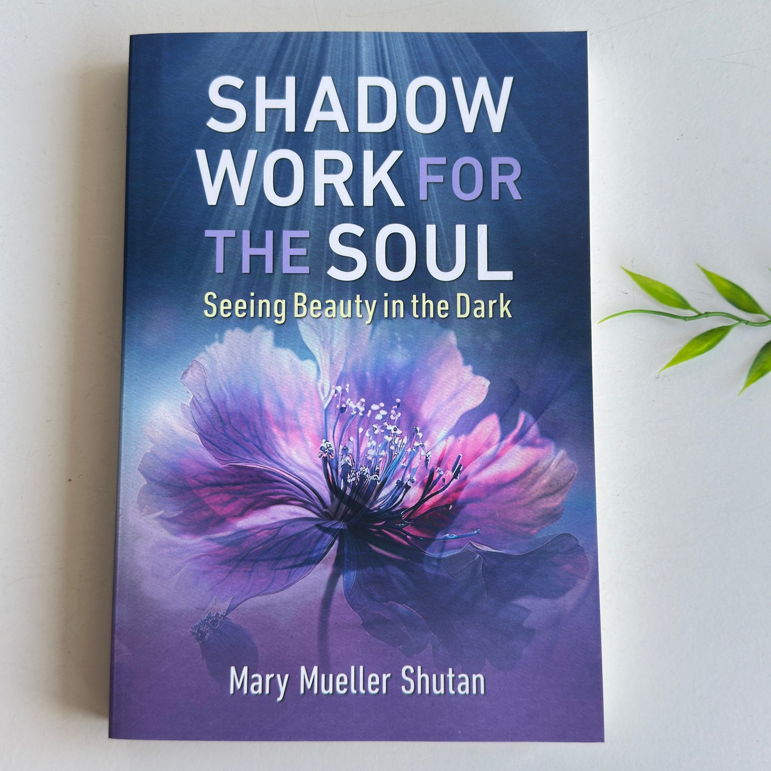 Shadow Work For The Soul Mary Mueller Shutan