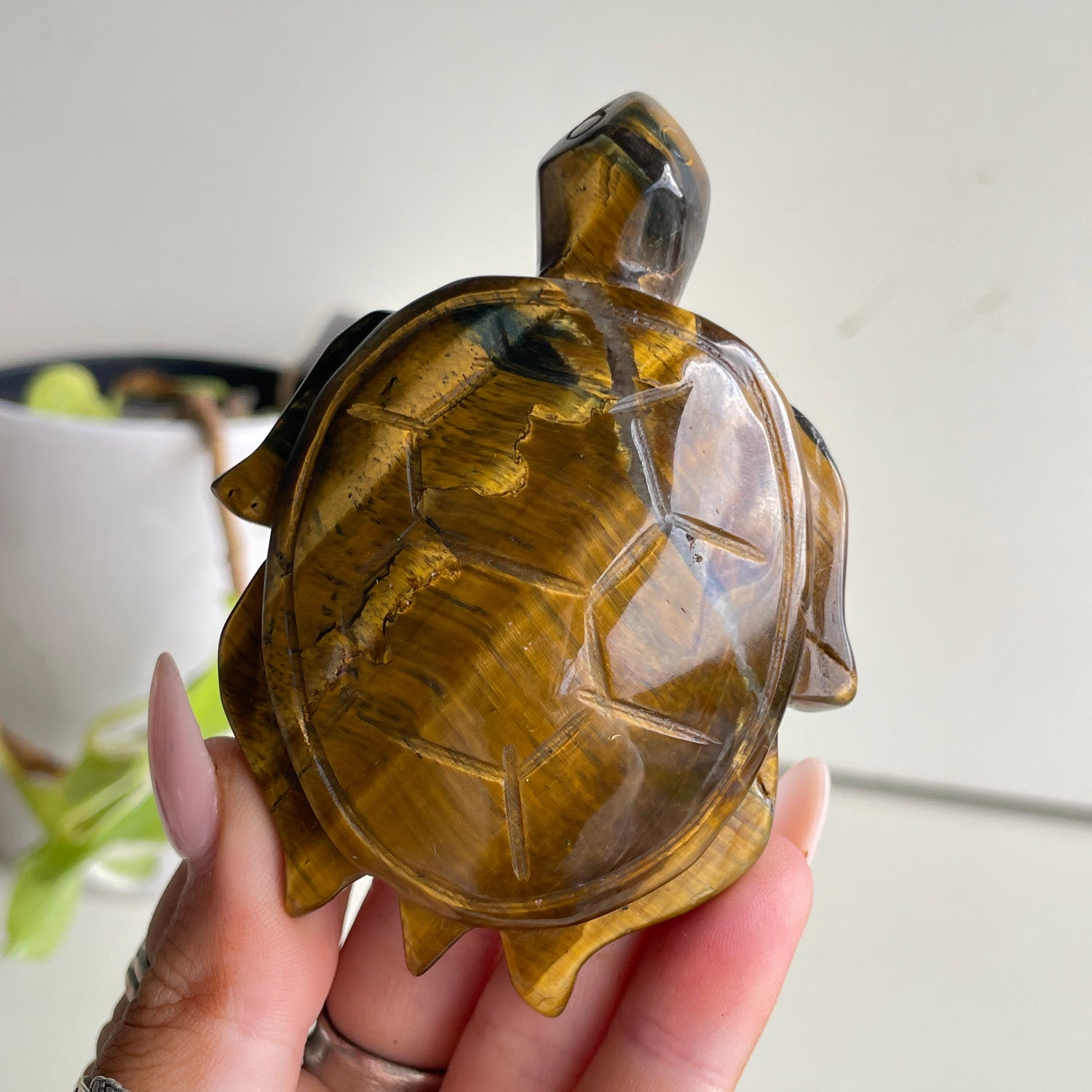 Tigers Eye Turtle 124g