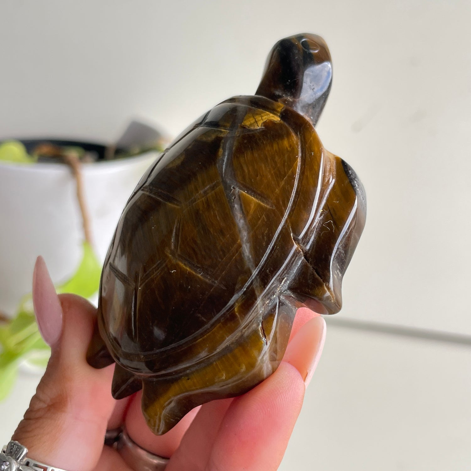 Tigers Eye Turtle 124g