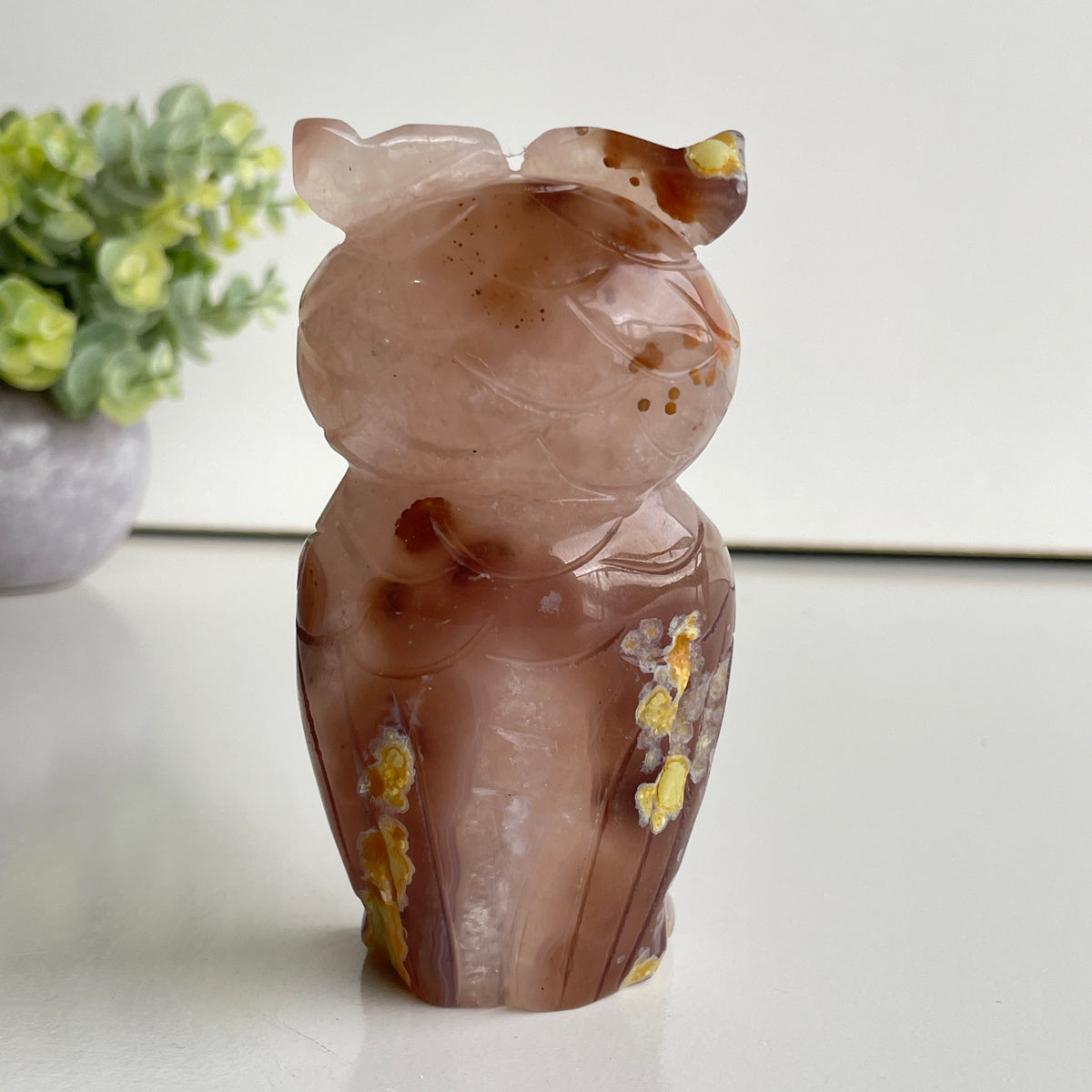 Agate Owl 4