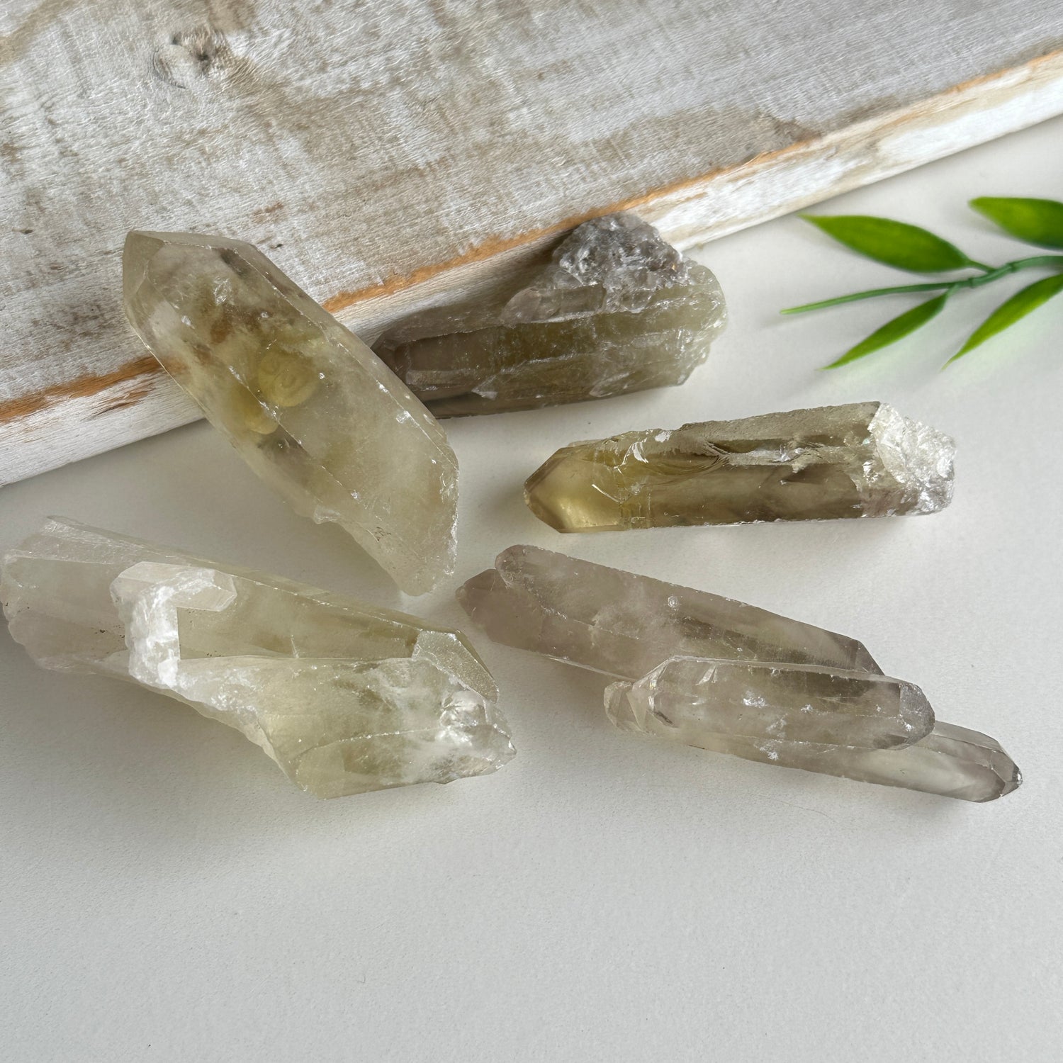Smoky Citrine Point Lge