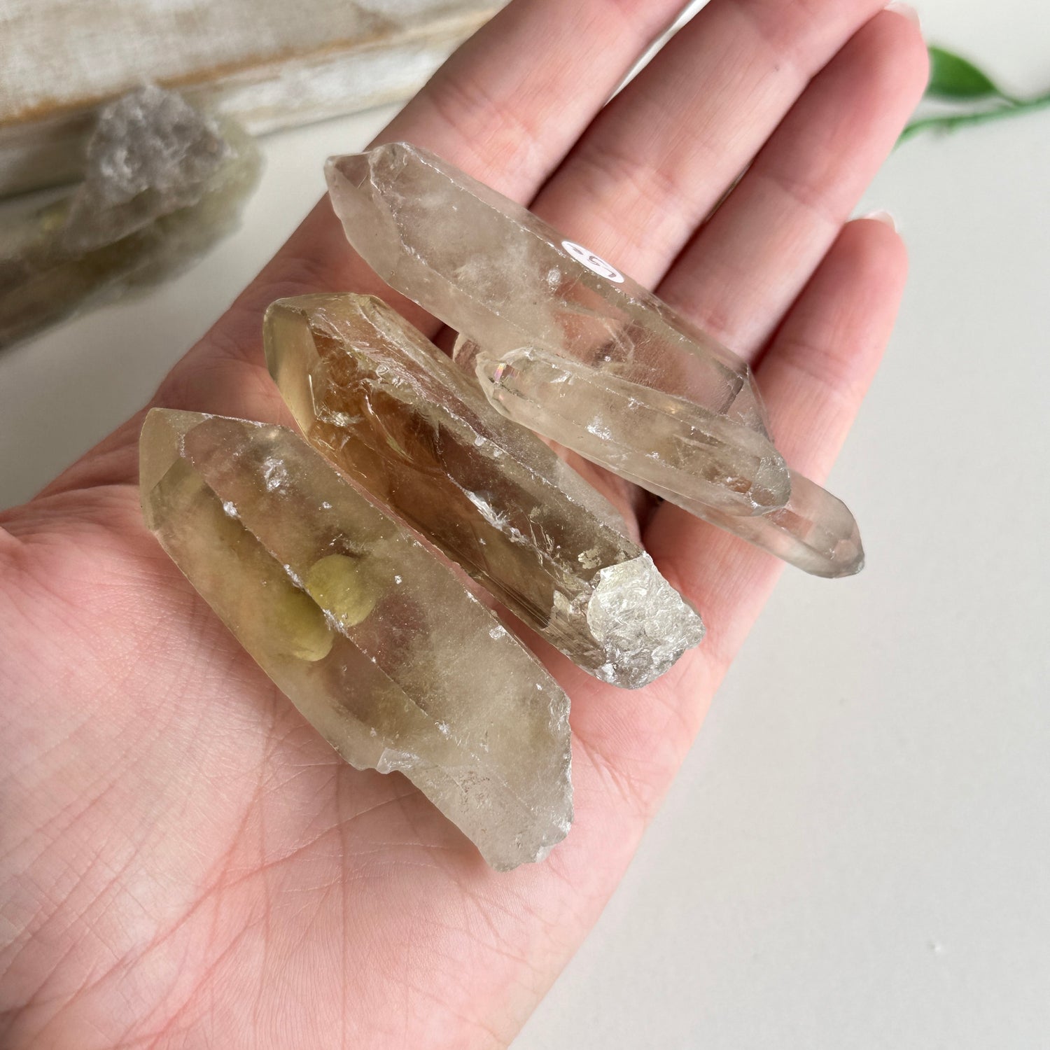 Smoky Citrine Point Lge