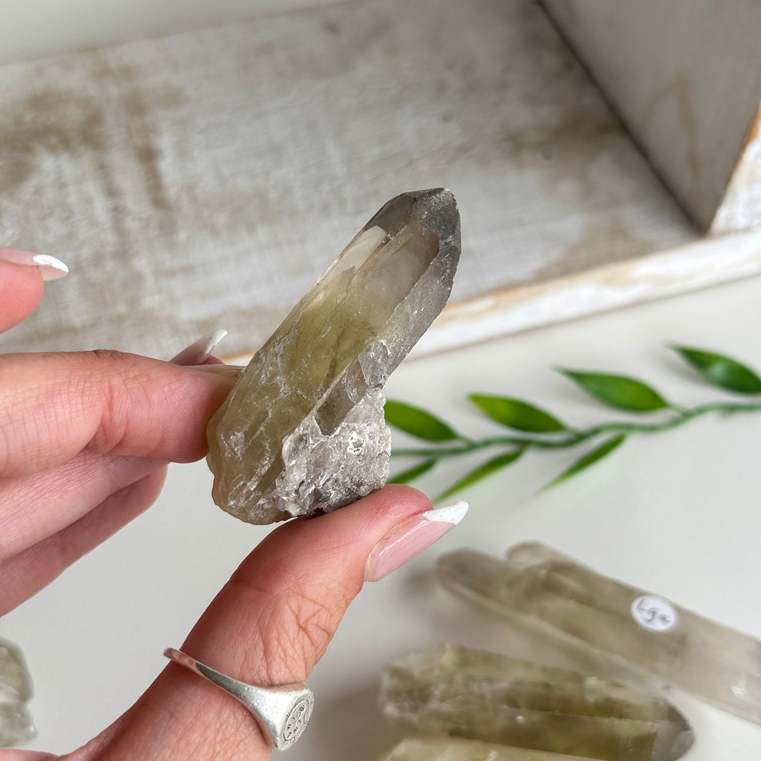 Smoky Citrine Point Lge