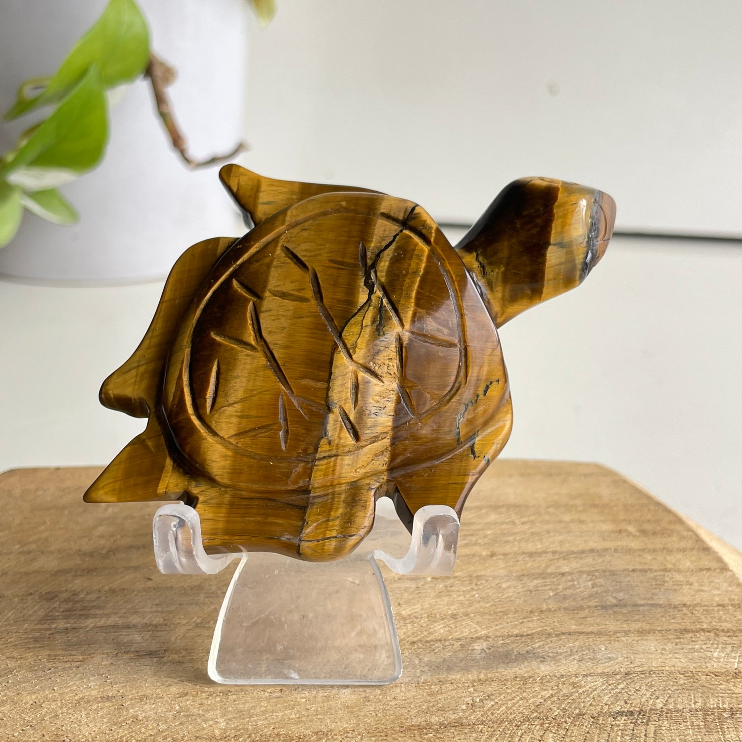 Tigers Eye Turtle 128g