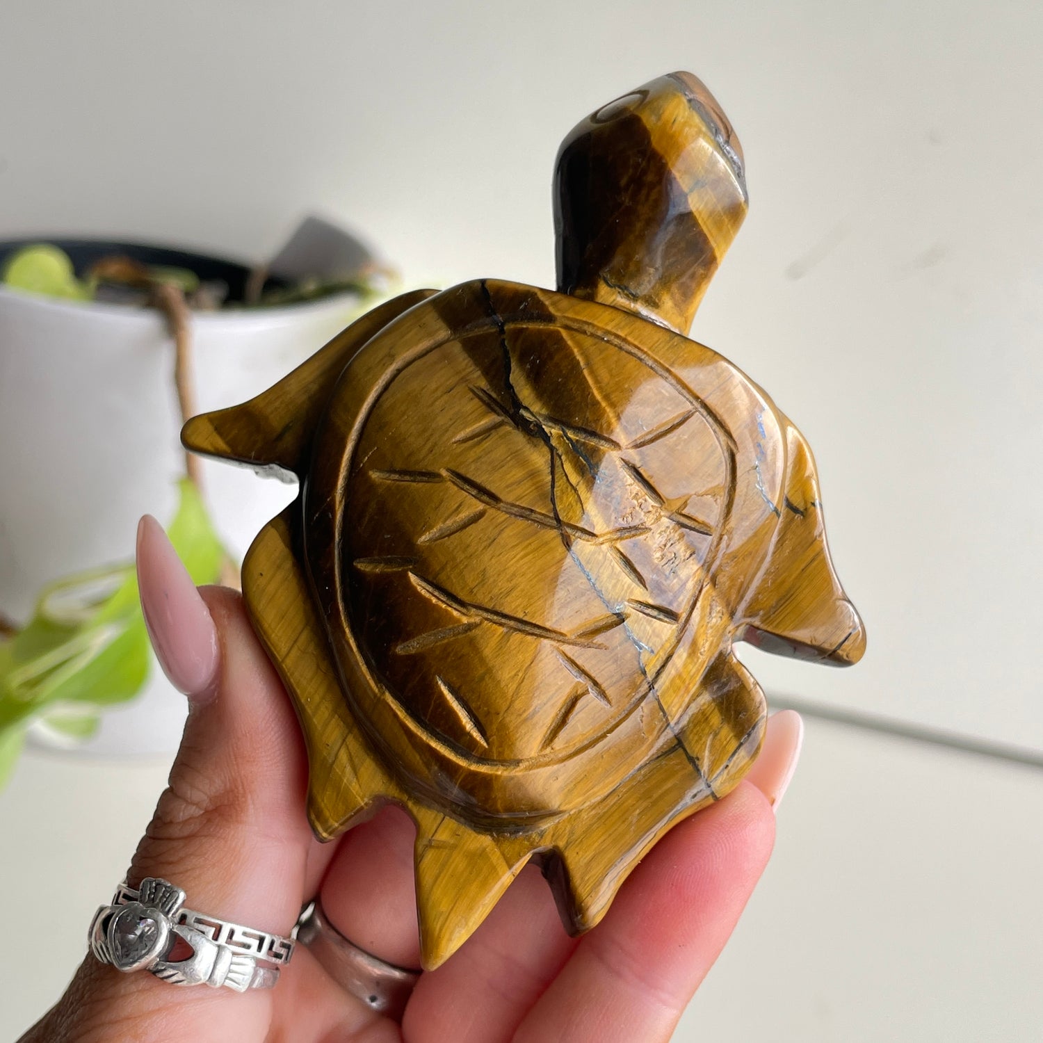 Tigers Eye Turtle 128g