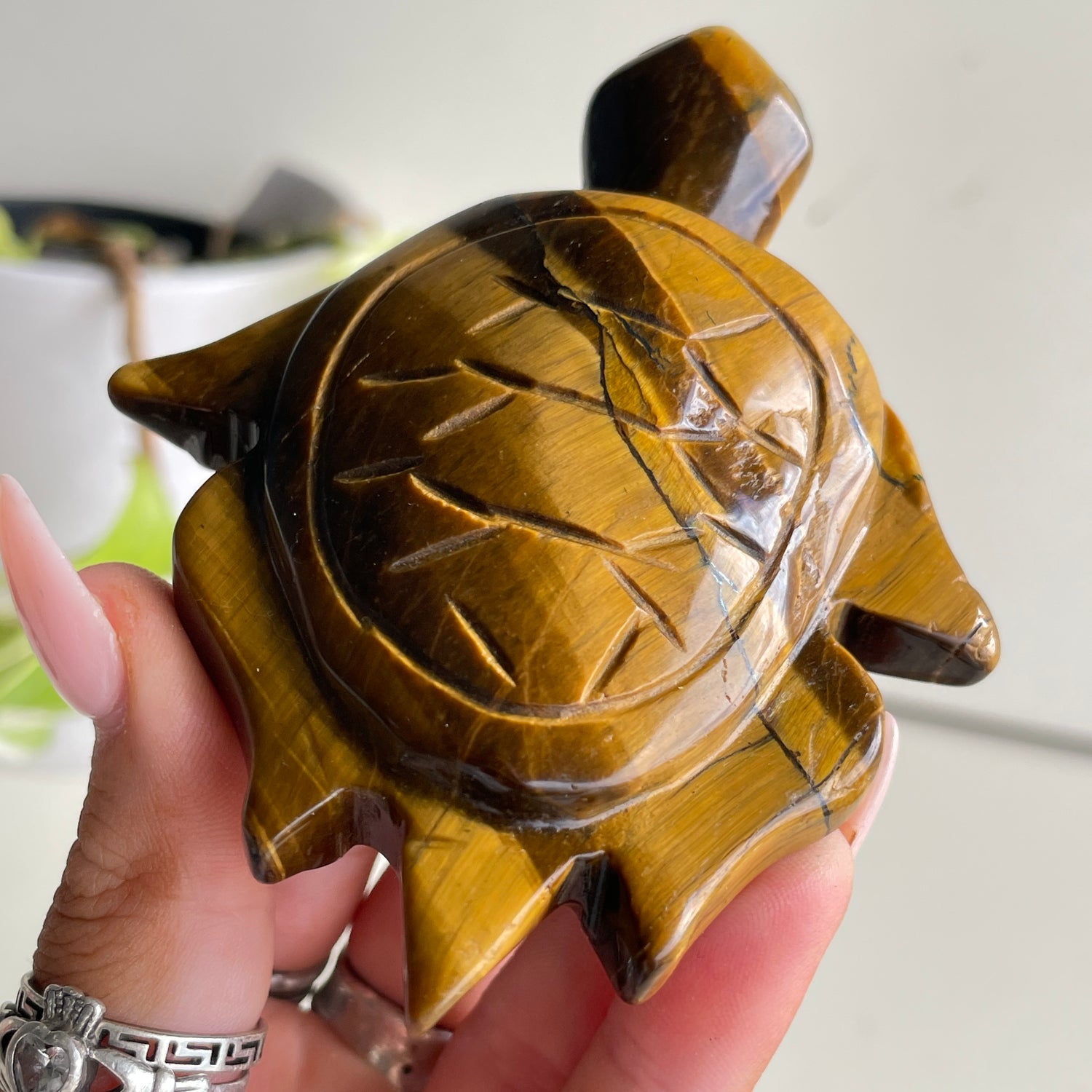Tigers Eye Turtle 128g