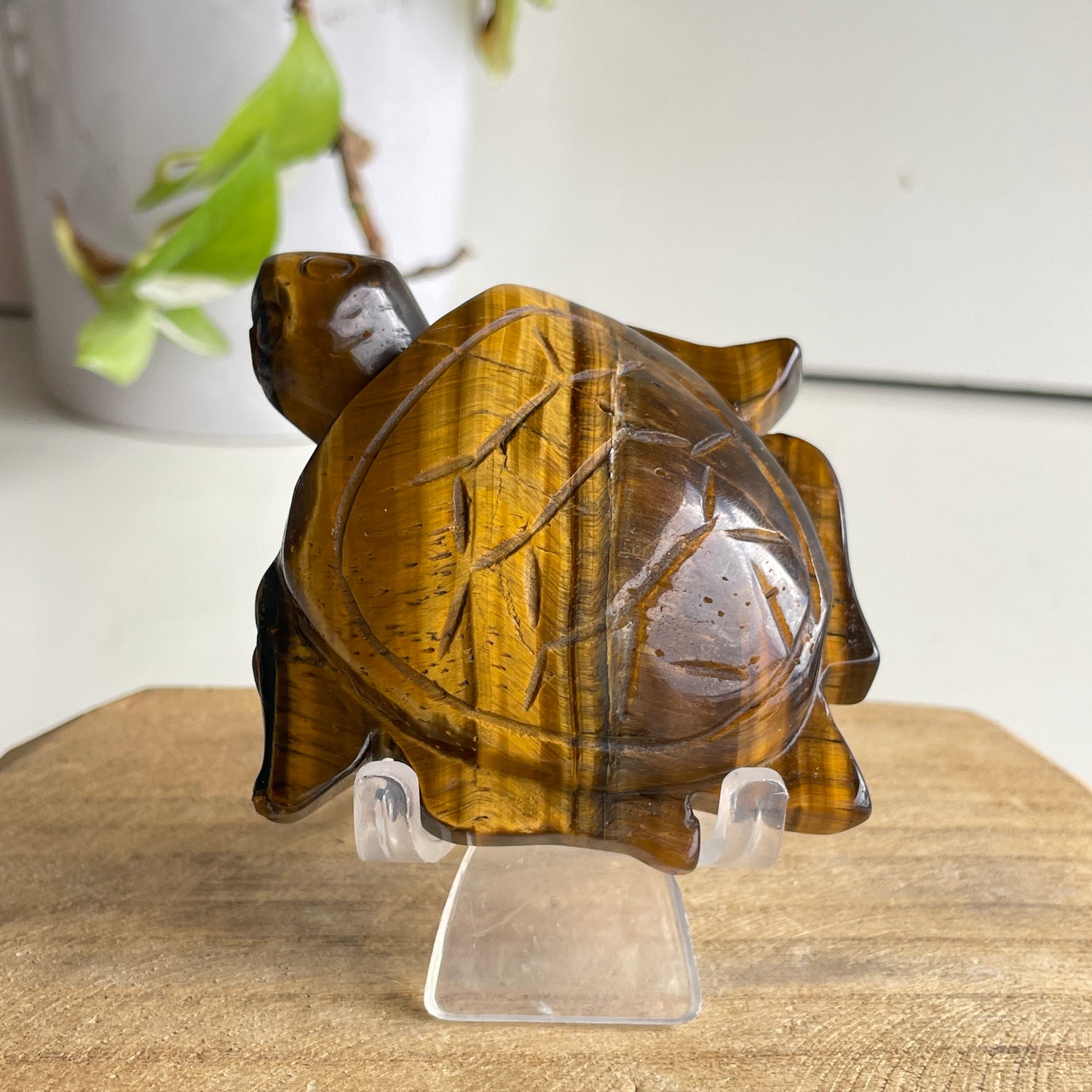 Tigers Eye Turtle 188g