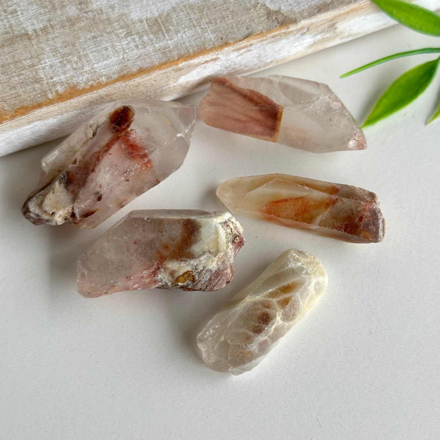 Amphibole Quartz Points