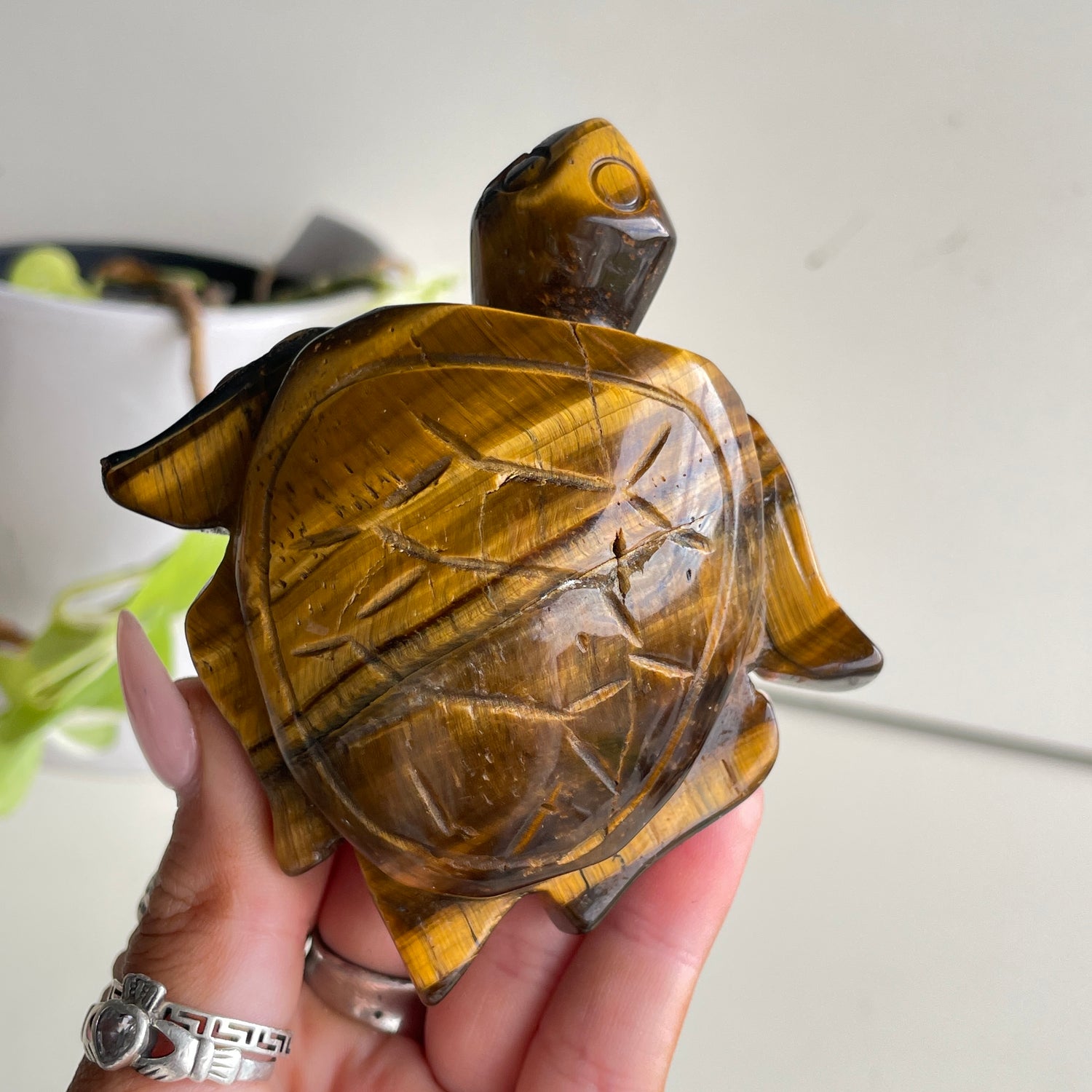 Tigers Eye Turtle 188g