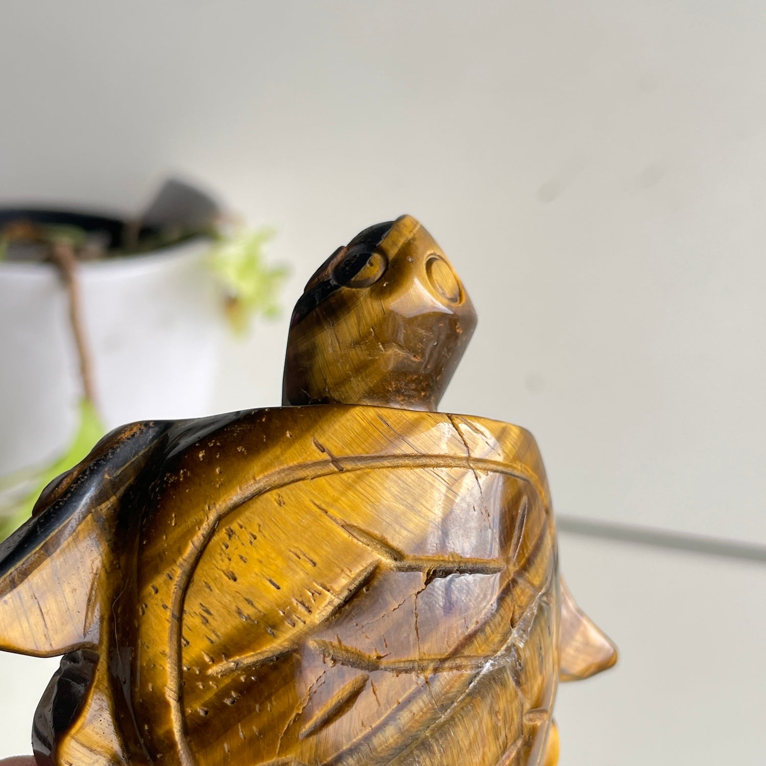 Tigers Eye Turtle 188g