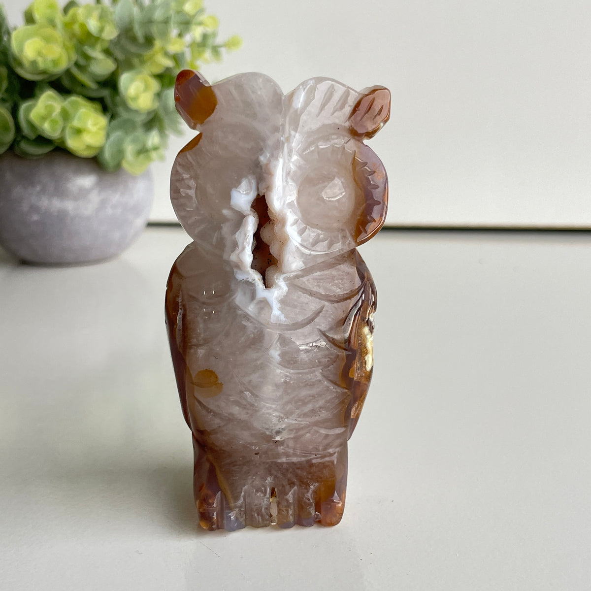 Agate Owl 5