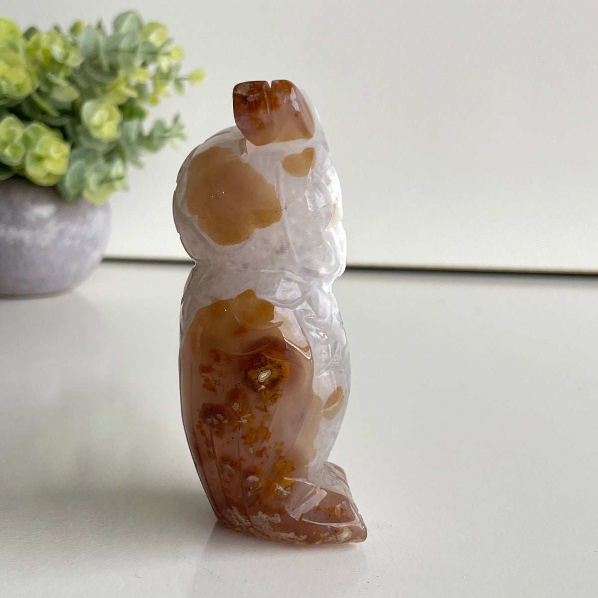 Agate Owl 5