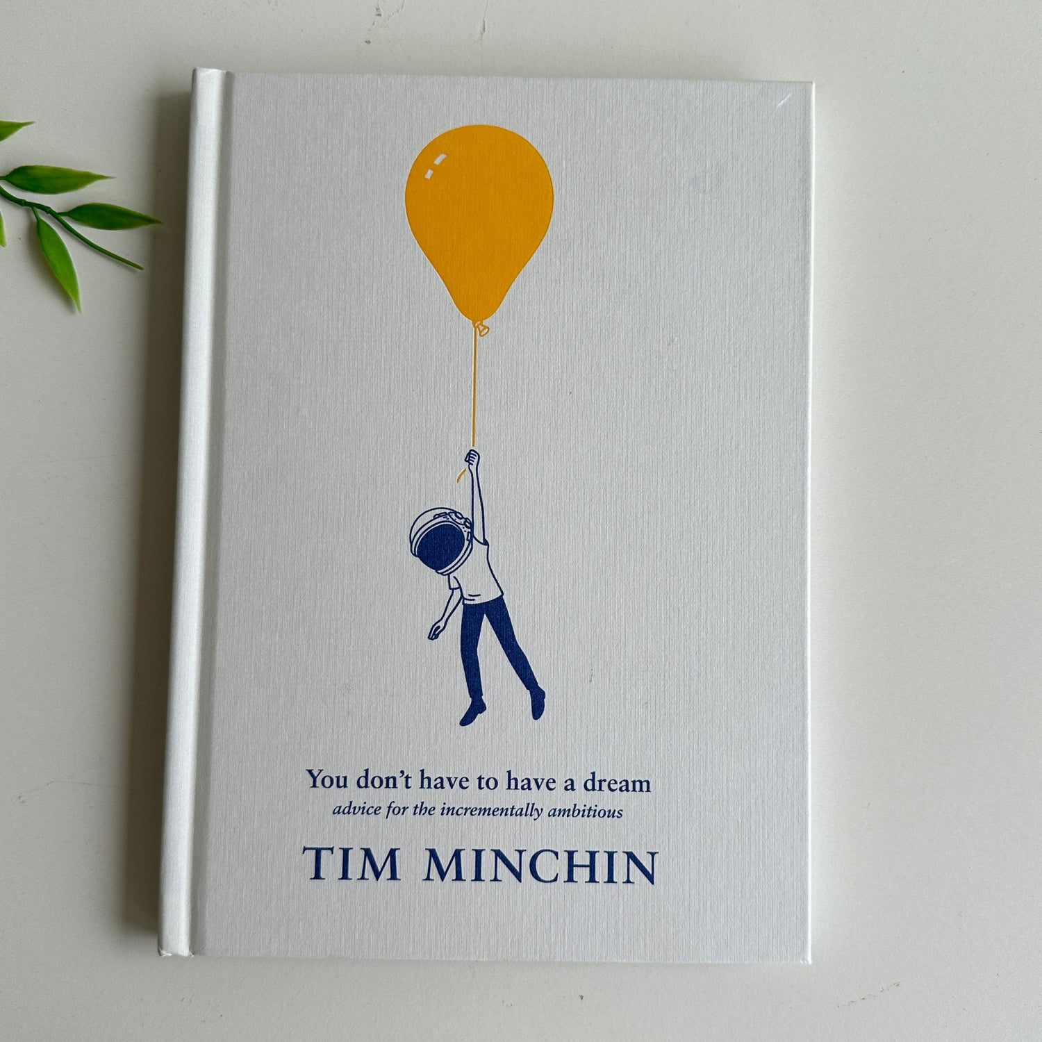You Don't Have To Have A Dream Tim Minchin