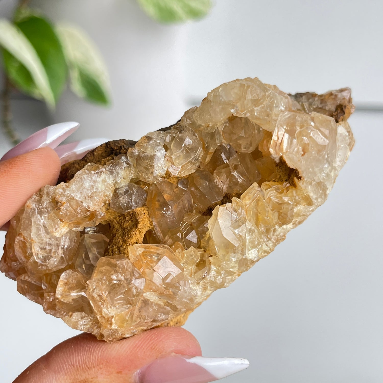 Limonite Quartz Cluster 108g