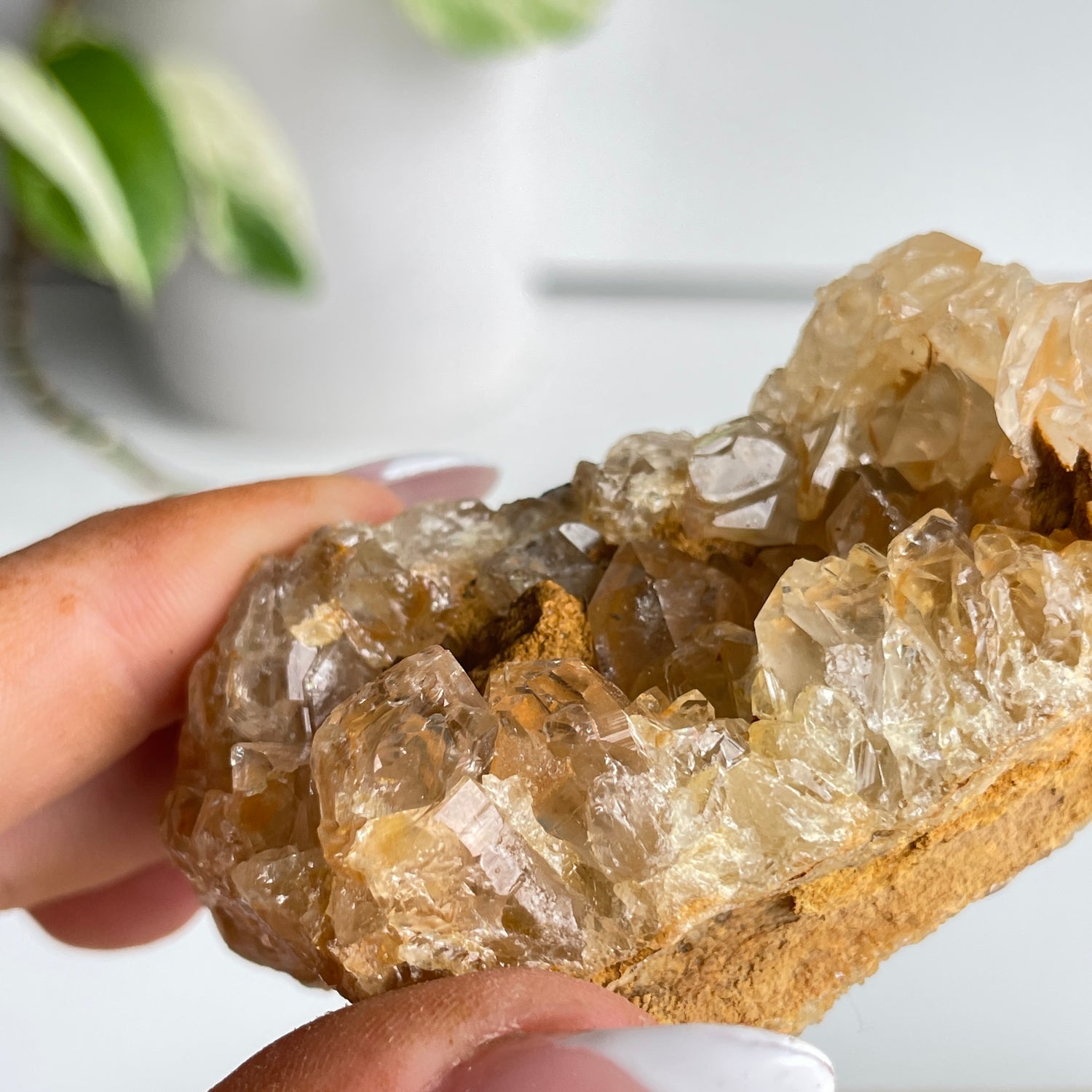 Limonite Quartz Cluster 108g