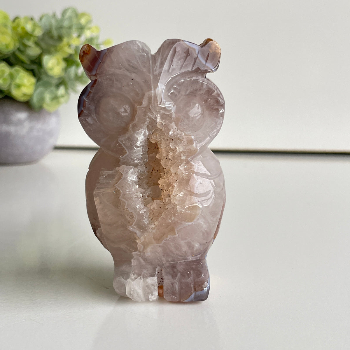 Agate Owl 3