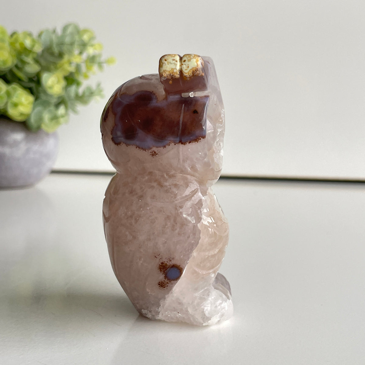 Agate Owl 3