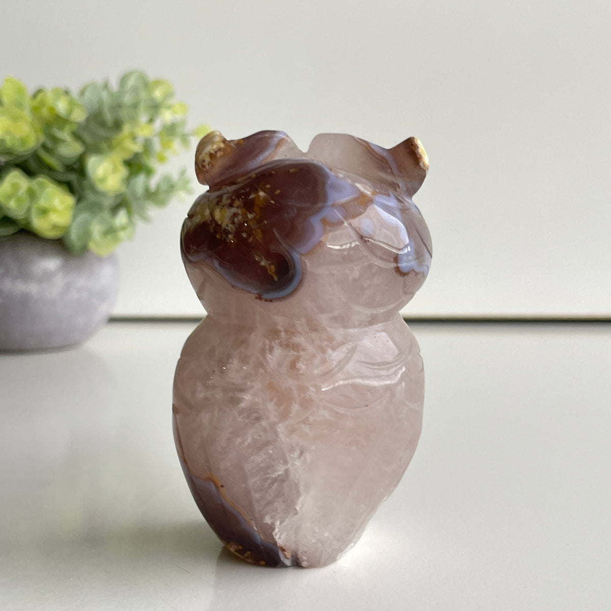 Agate Owl 3