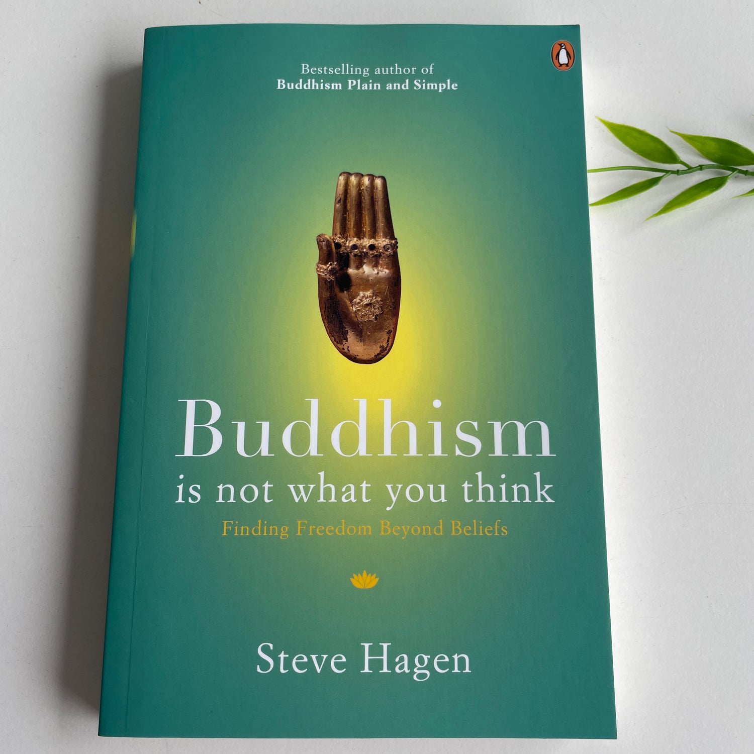Buddhism Is Not What You Think Steve Hagen