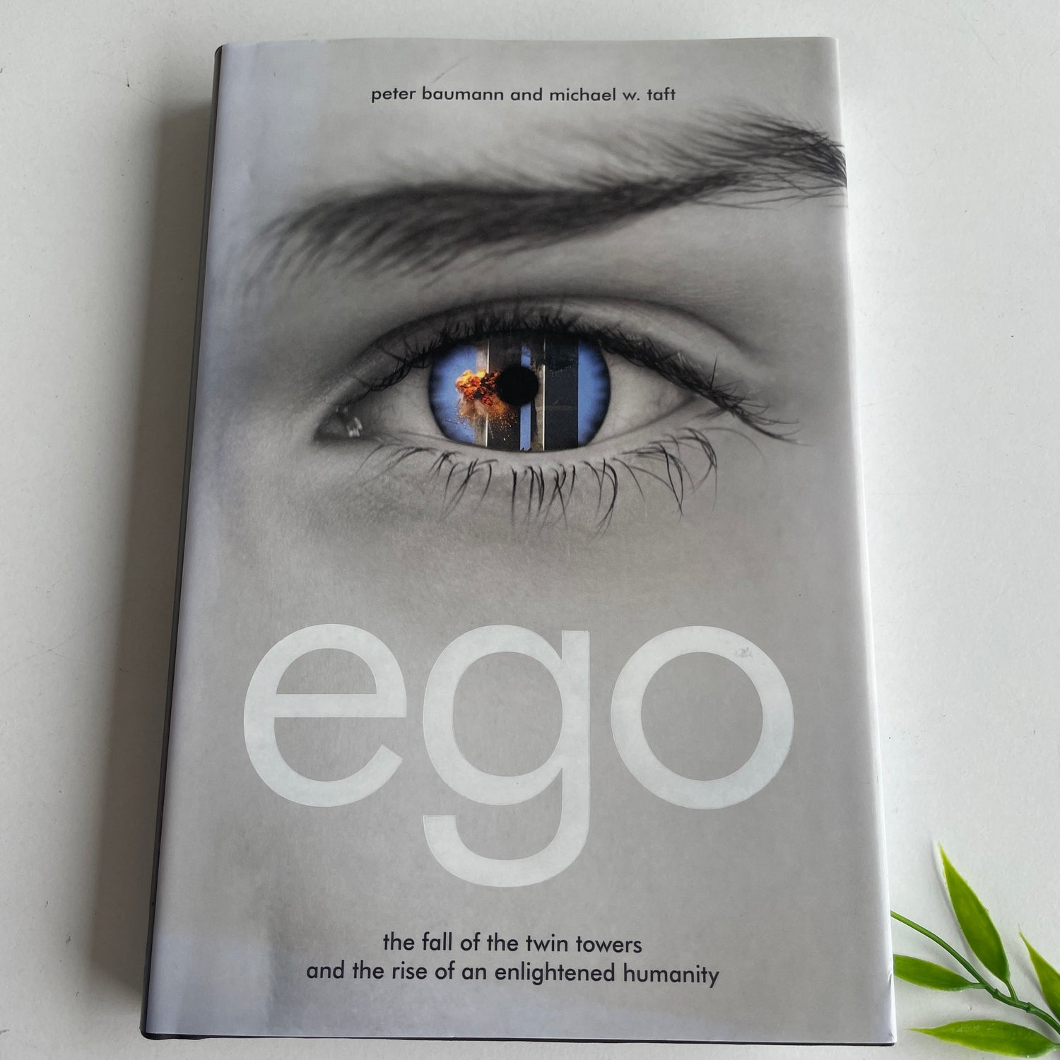 Ego Peter Baumann