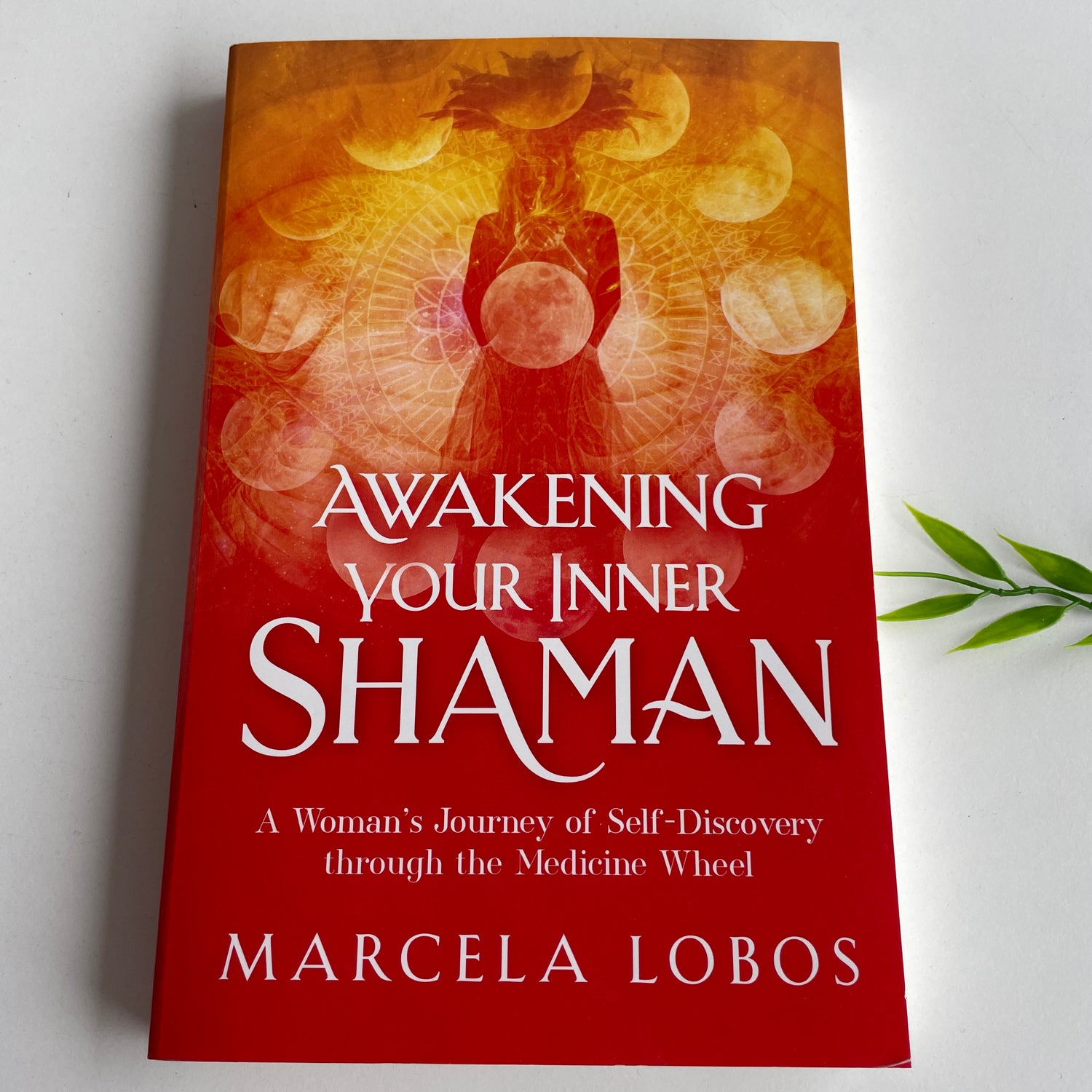 Awakening Your Inner Shaman Marcela Lobos