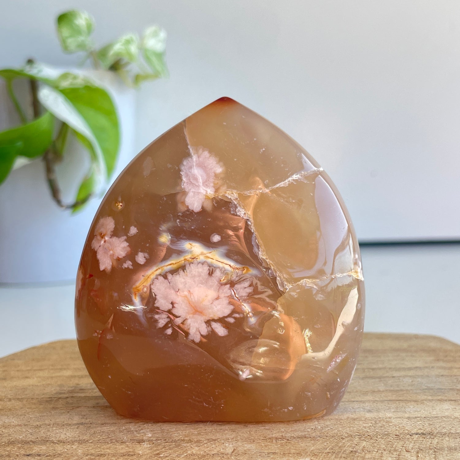 Flower Agate Flame 7.6cm