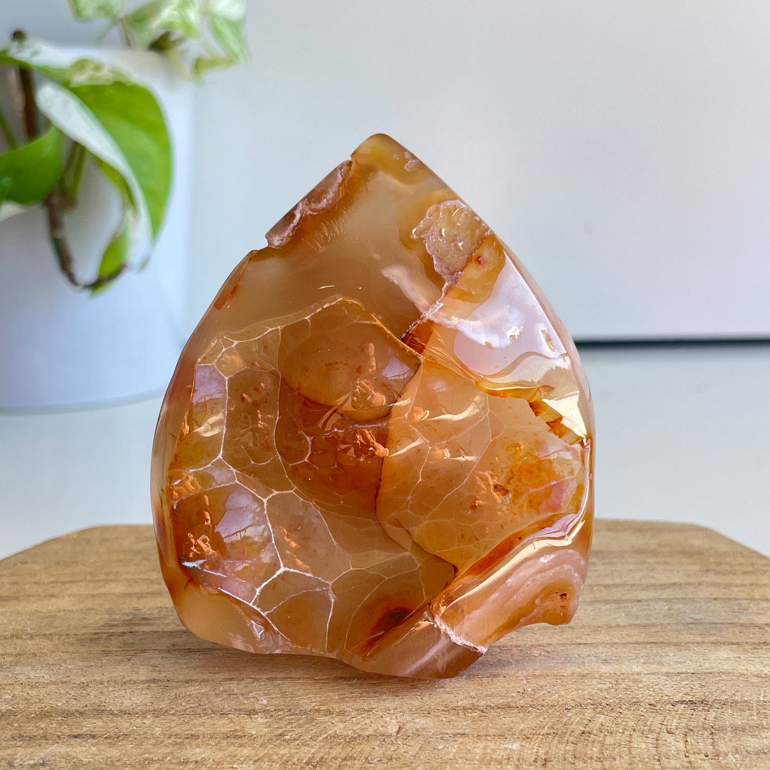 Flower Agate Flame 7.9cm