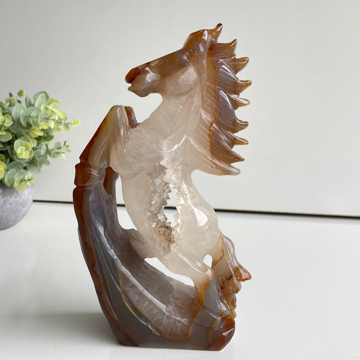 Agate Horse 2