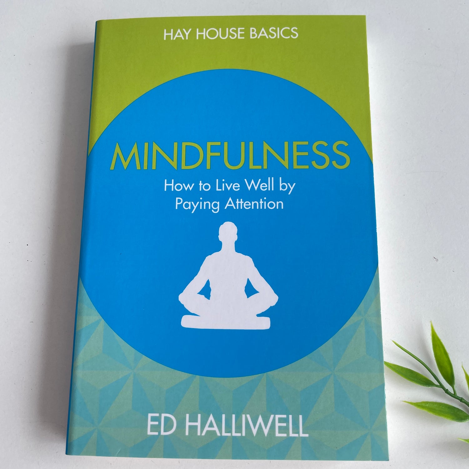 Hay House Basics Mindfulness Ed Halliwell