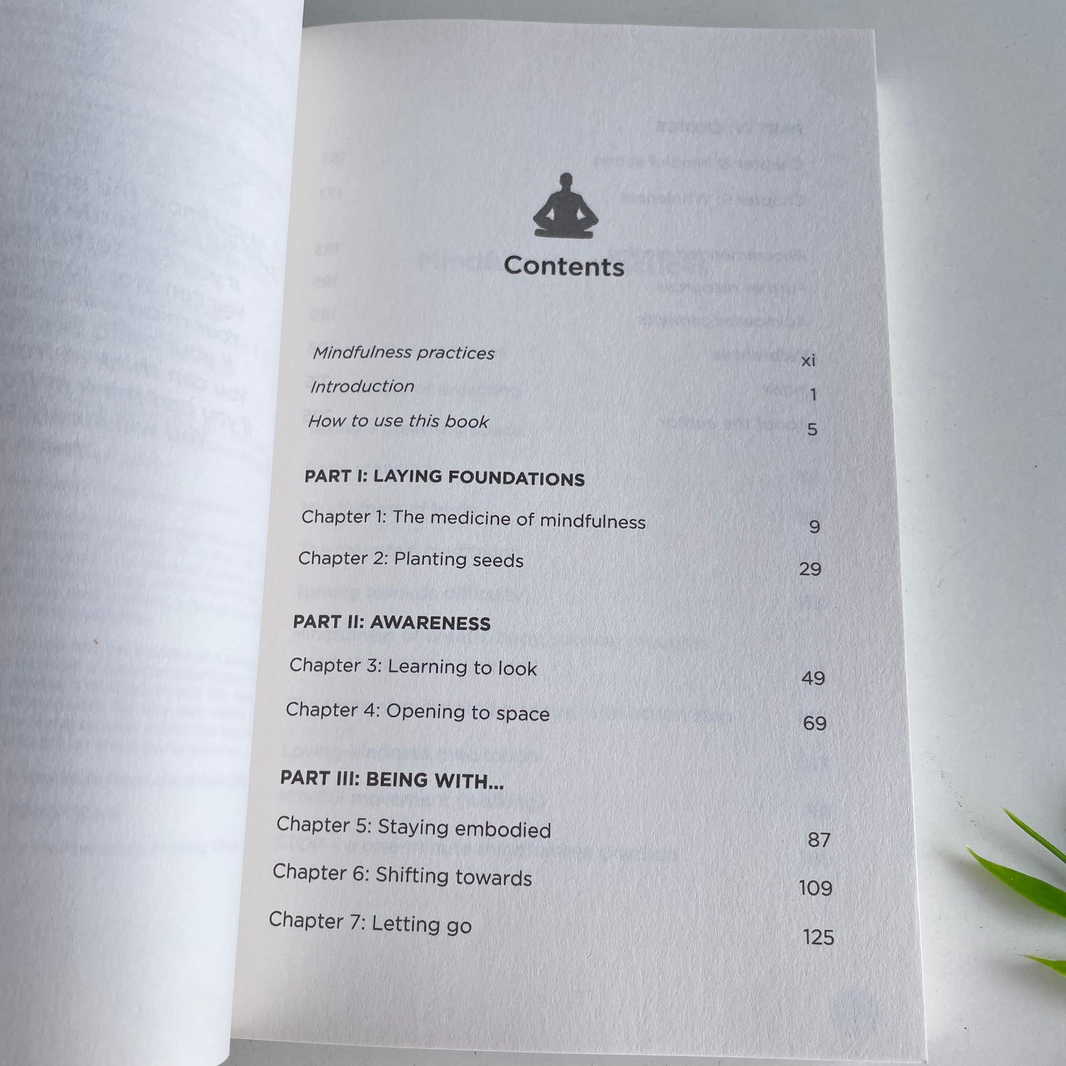 Hay House Basics Mindfulness Ed Halliwell