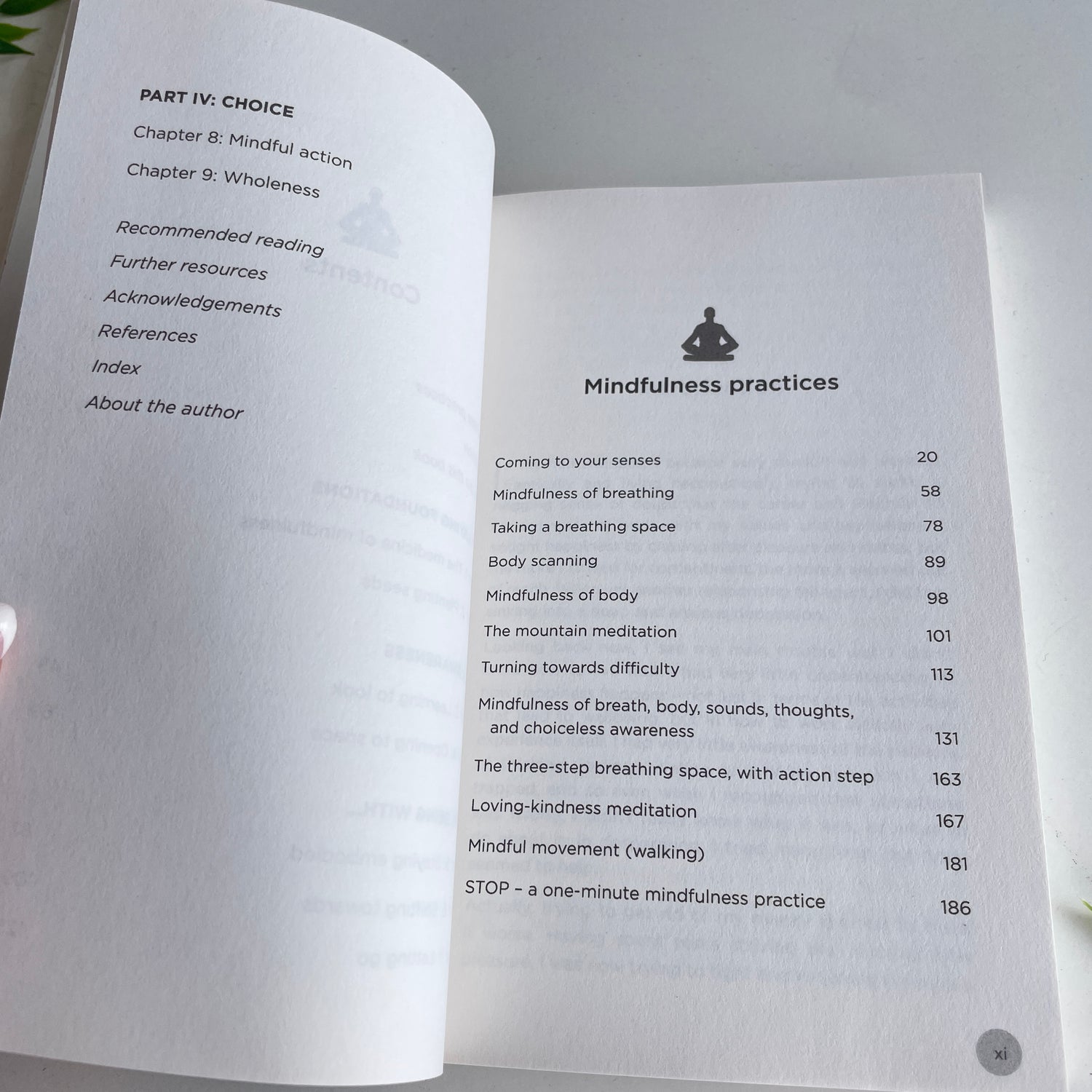 Hay House Basics Mindfulness Ed Halliwell