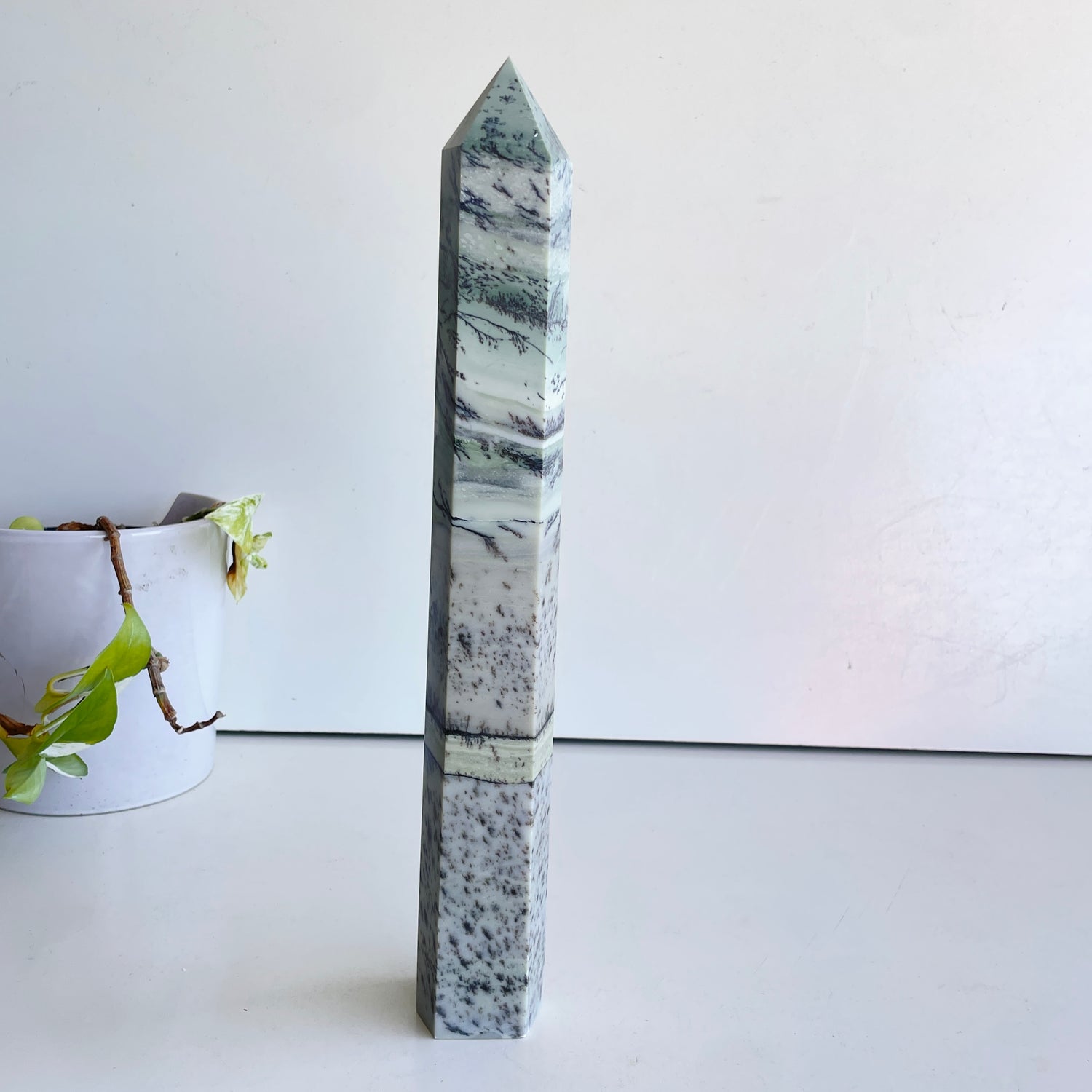 Dendritic Opal Generator 33.4cm
