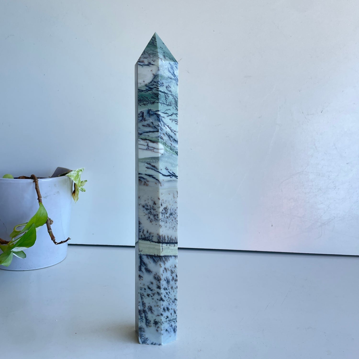 Dendritic Opal Generator 33.4cm