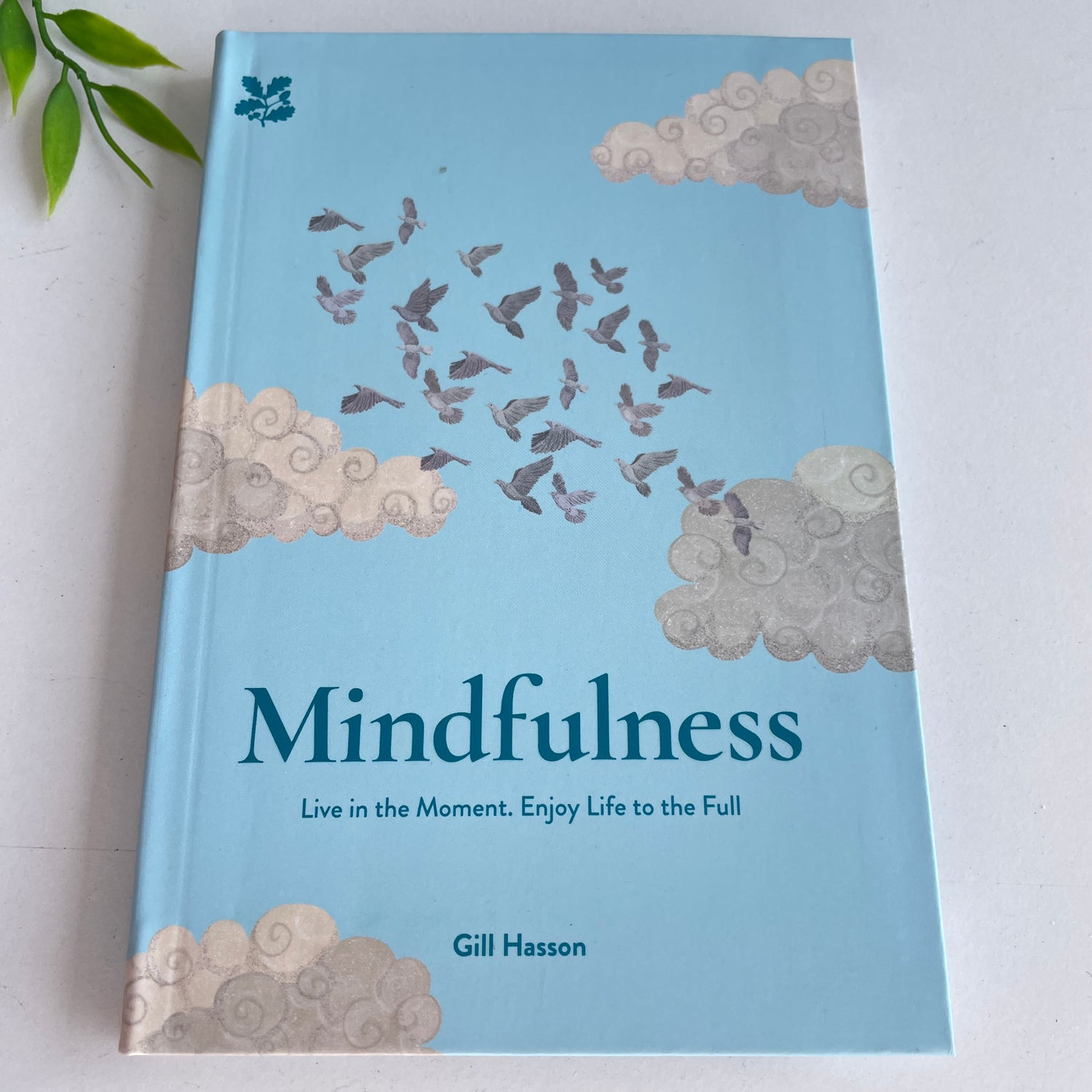 Mindfulness Gill Hasson
