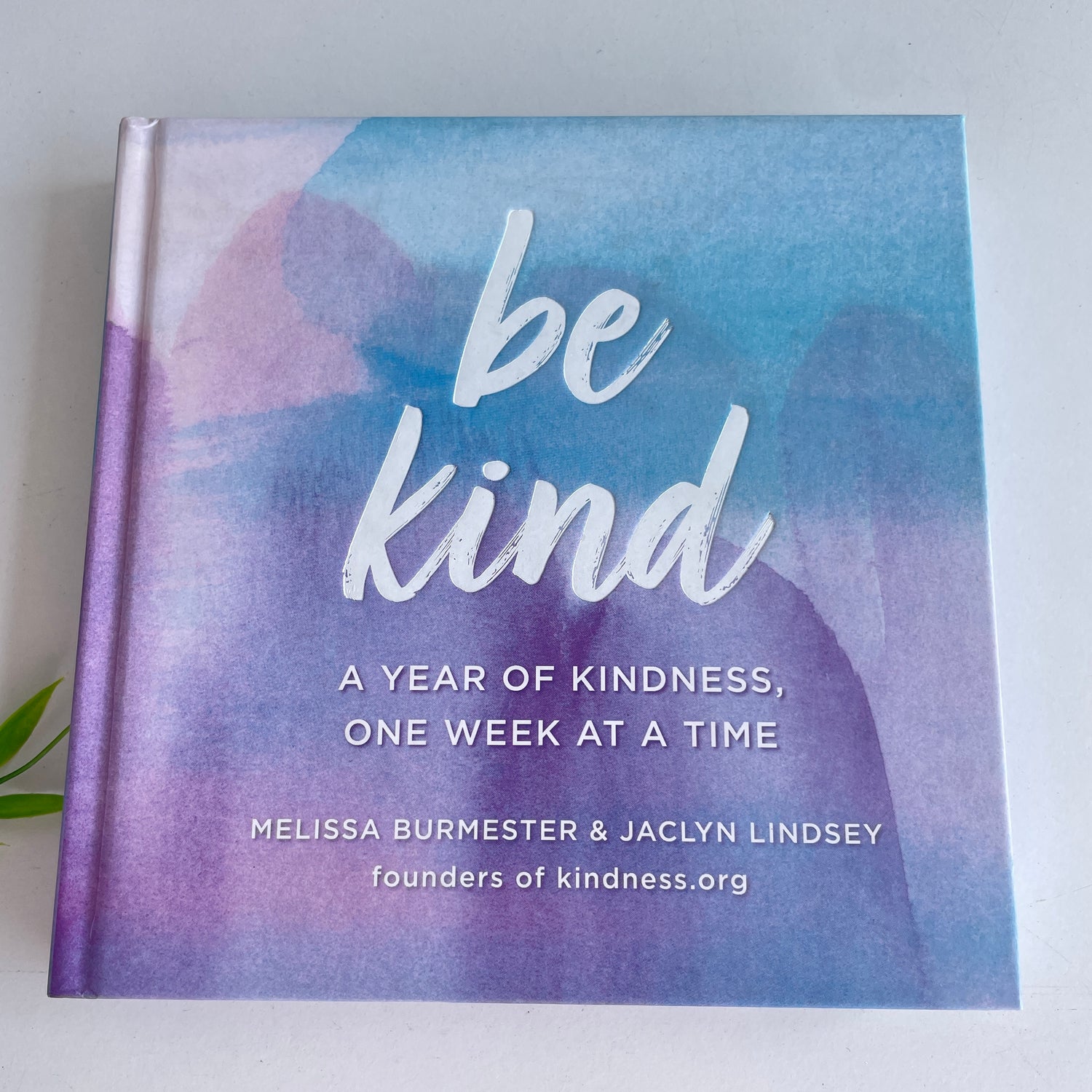 Be Kind A Year Of Kindness
