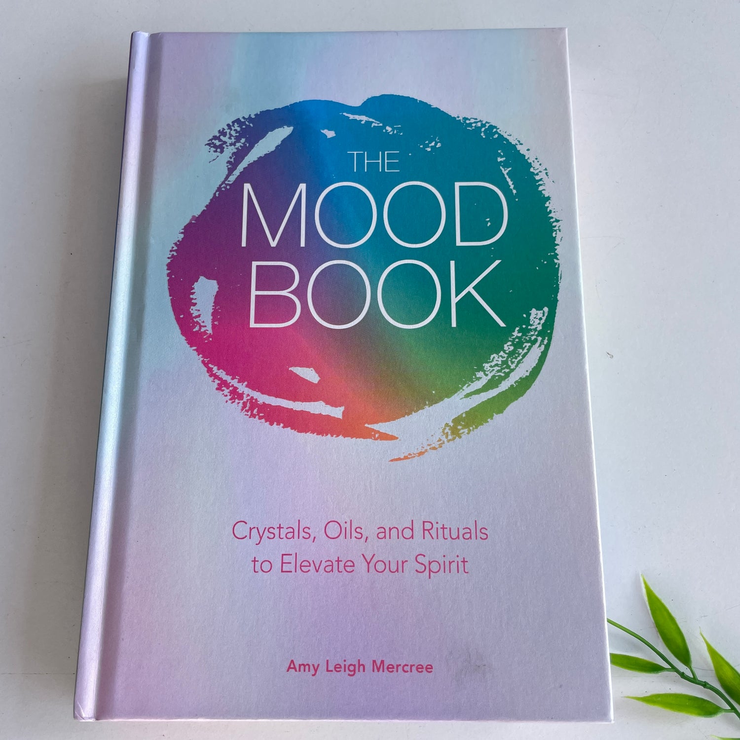 The Mood Book Amy Leigh Mercree
