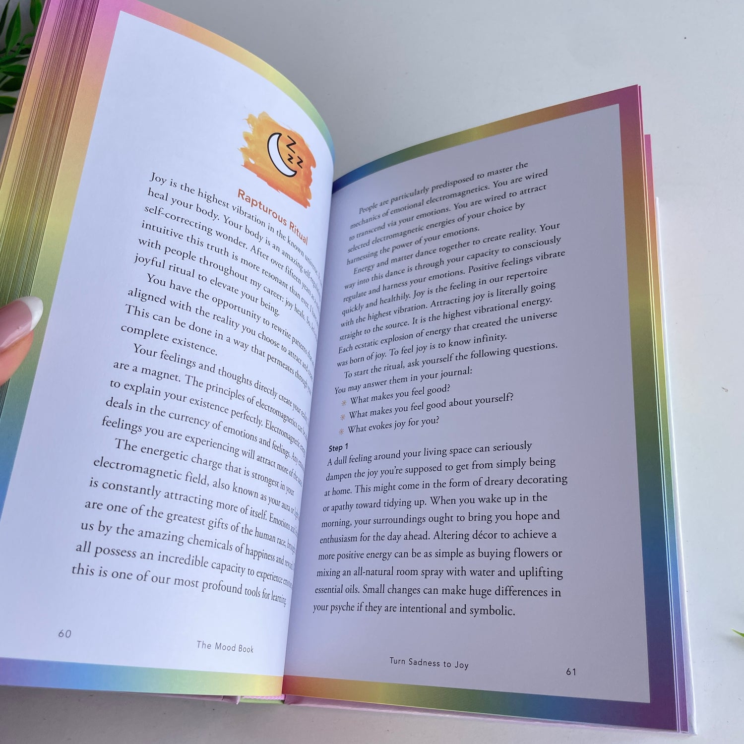 The Mood Book Amy Leigh Mercree
