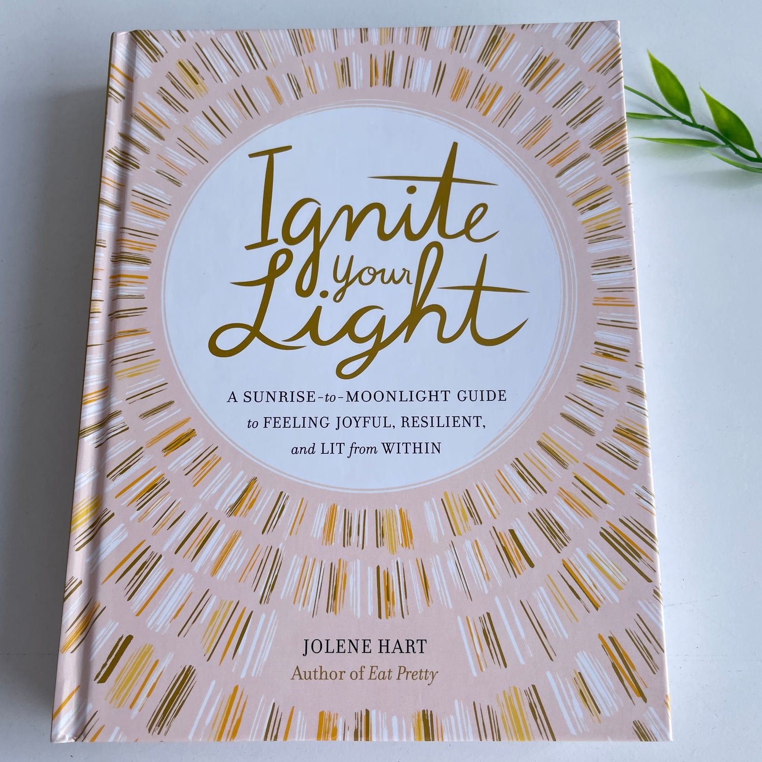Ignite Your Light Jolene Hart