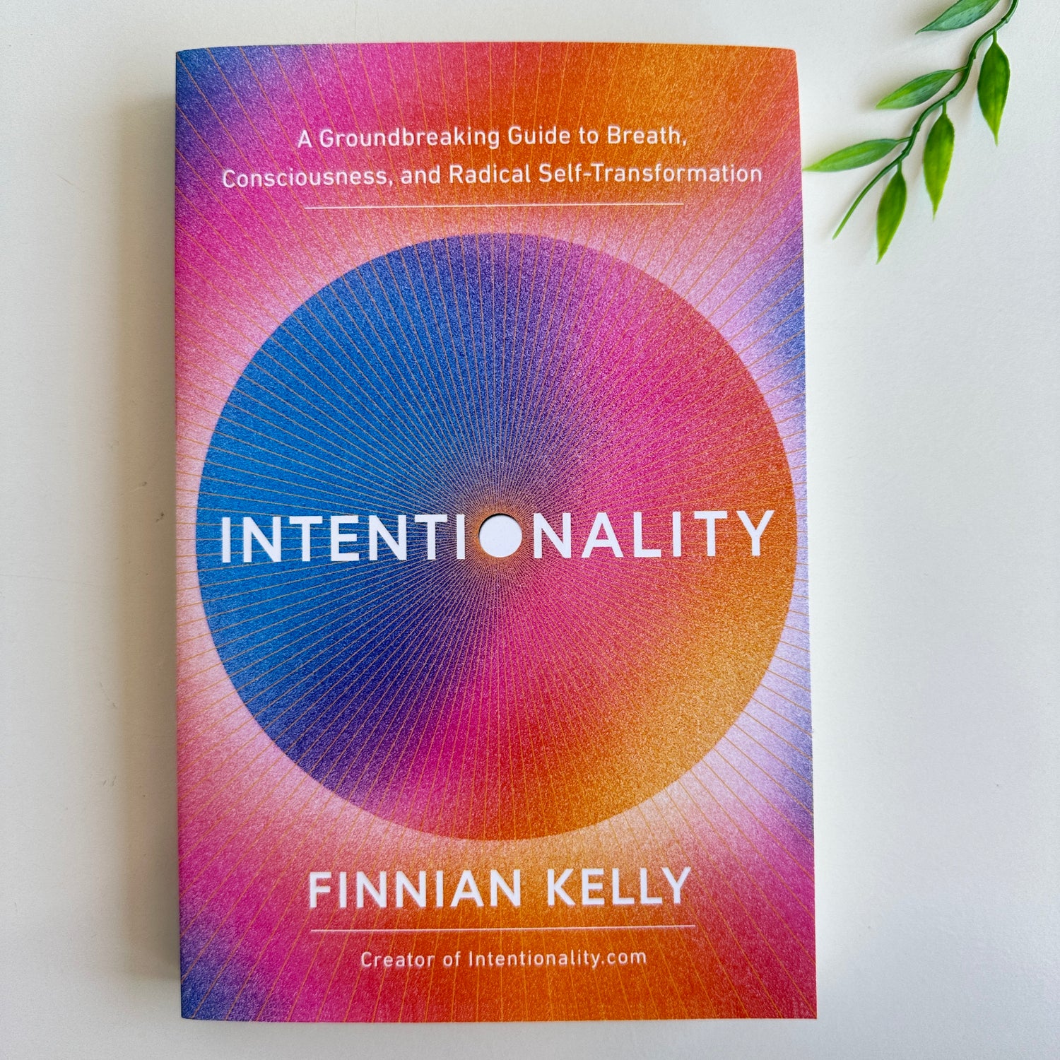 Intentionality Finnian Kelly