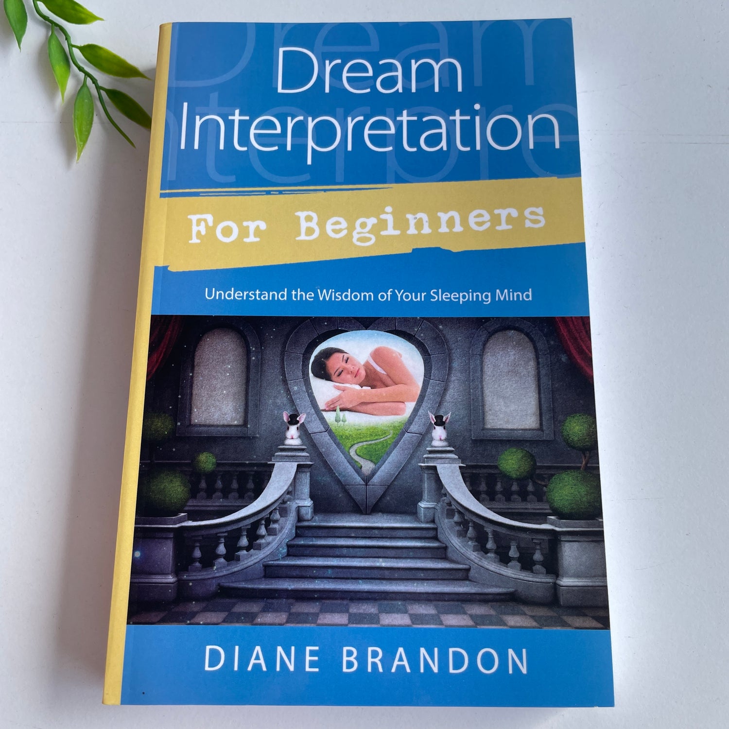 Dream Interpretation For Beginners Diane Brandon