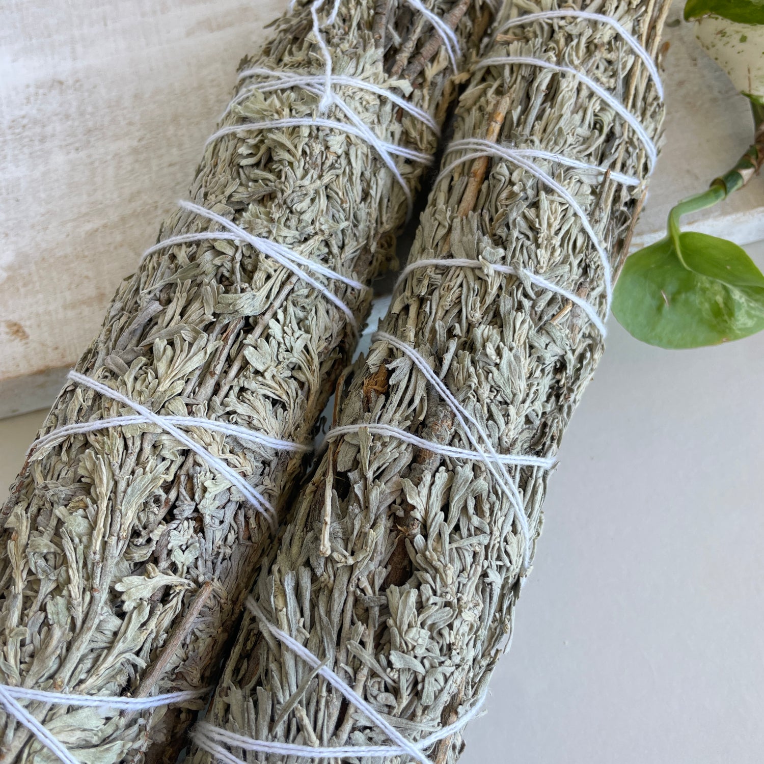 Blue Sage Cleansing Stick