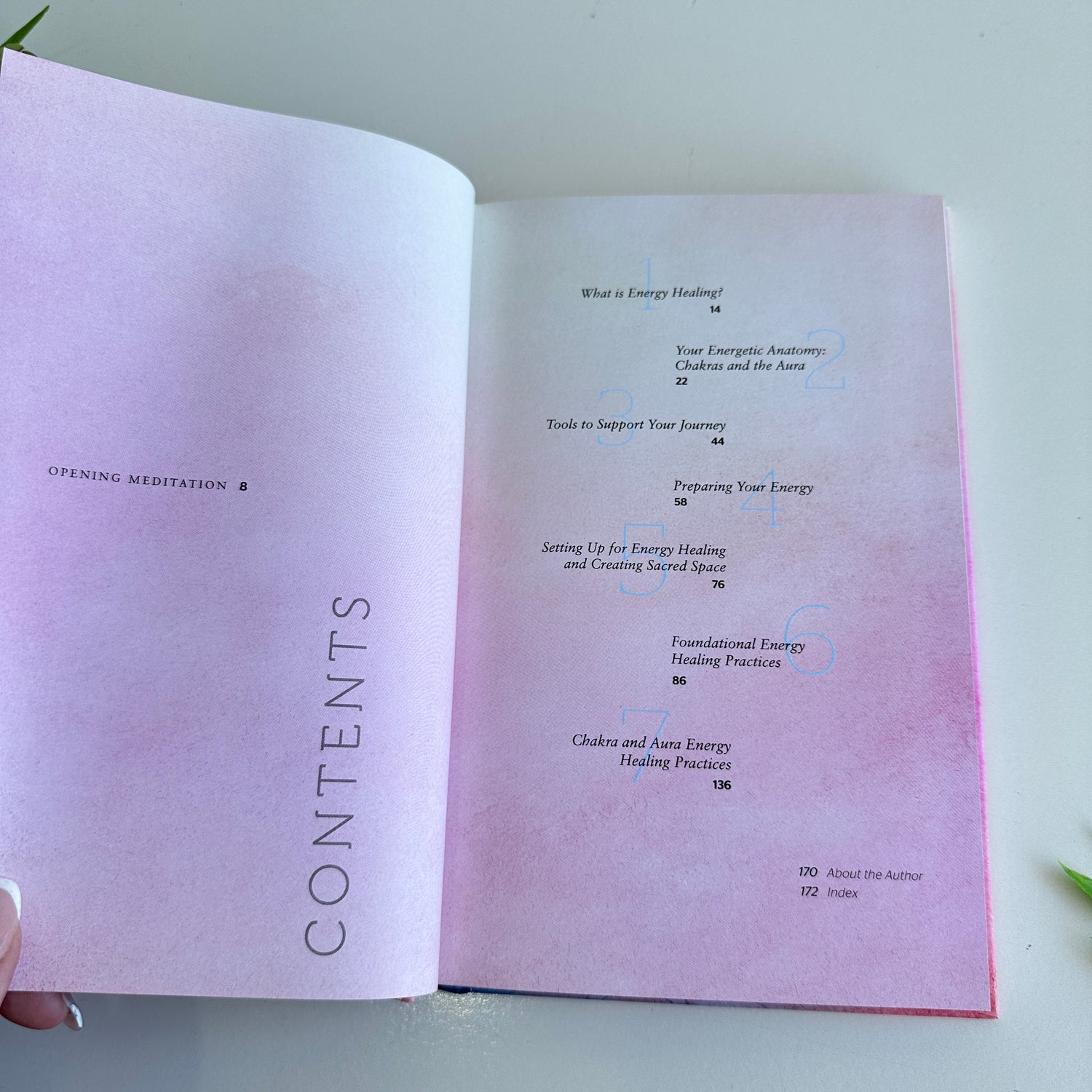 The Aura And Chakra Healing Companion Kat Fowler