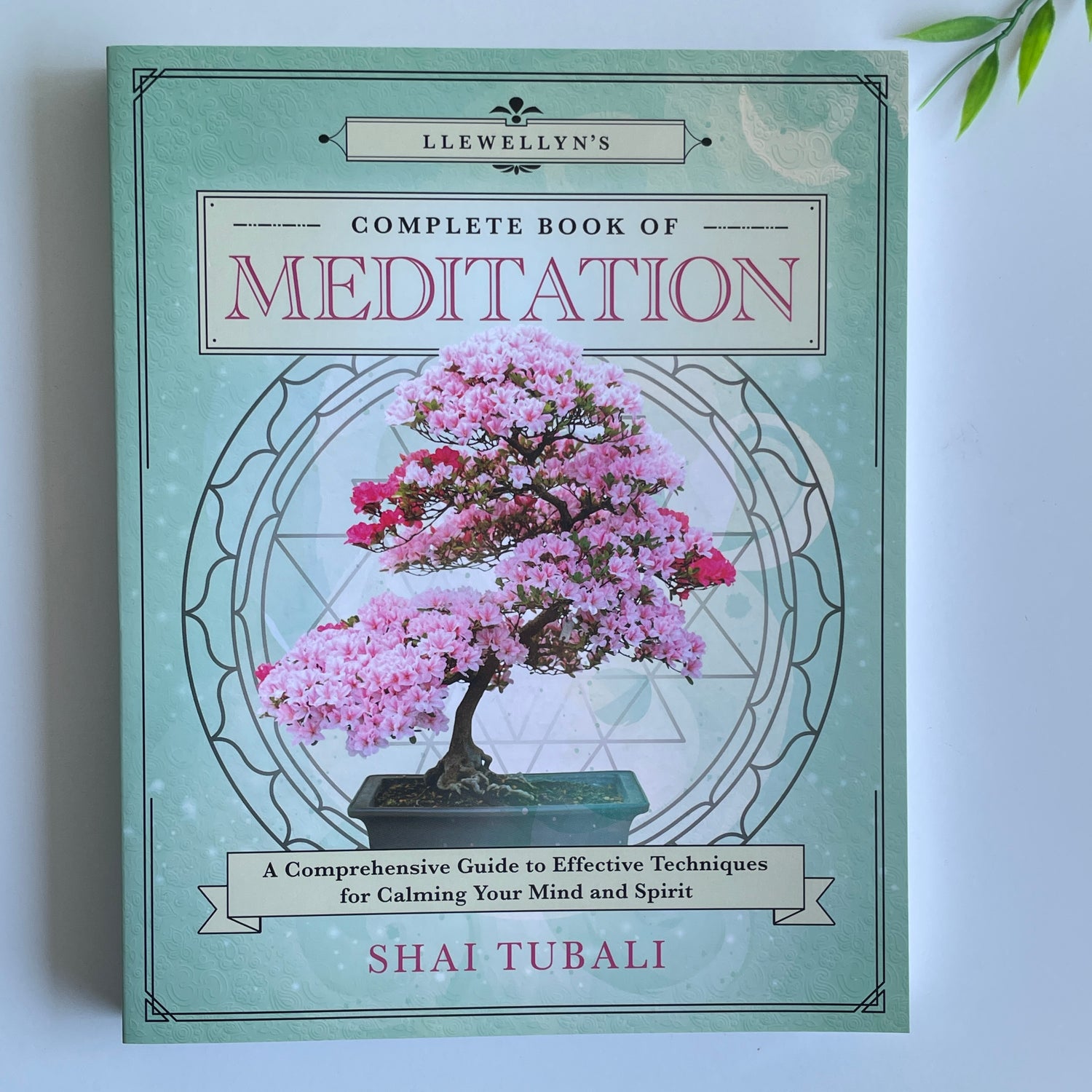 Llewellyns Complete Book Of Meditation Shai Tubali