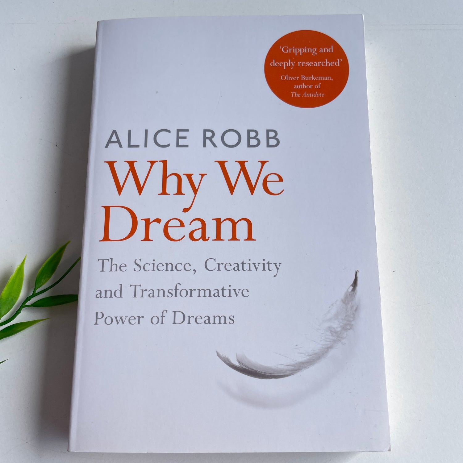 Why We Dream Alice Robb