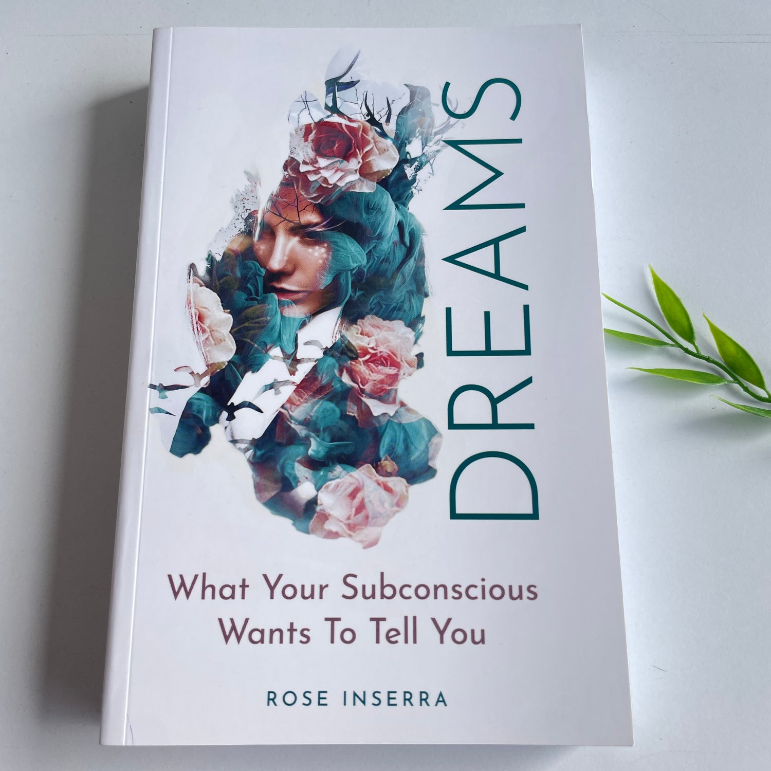 Dreams What Your Subconscious Wants to Tell You Rose Inserra
