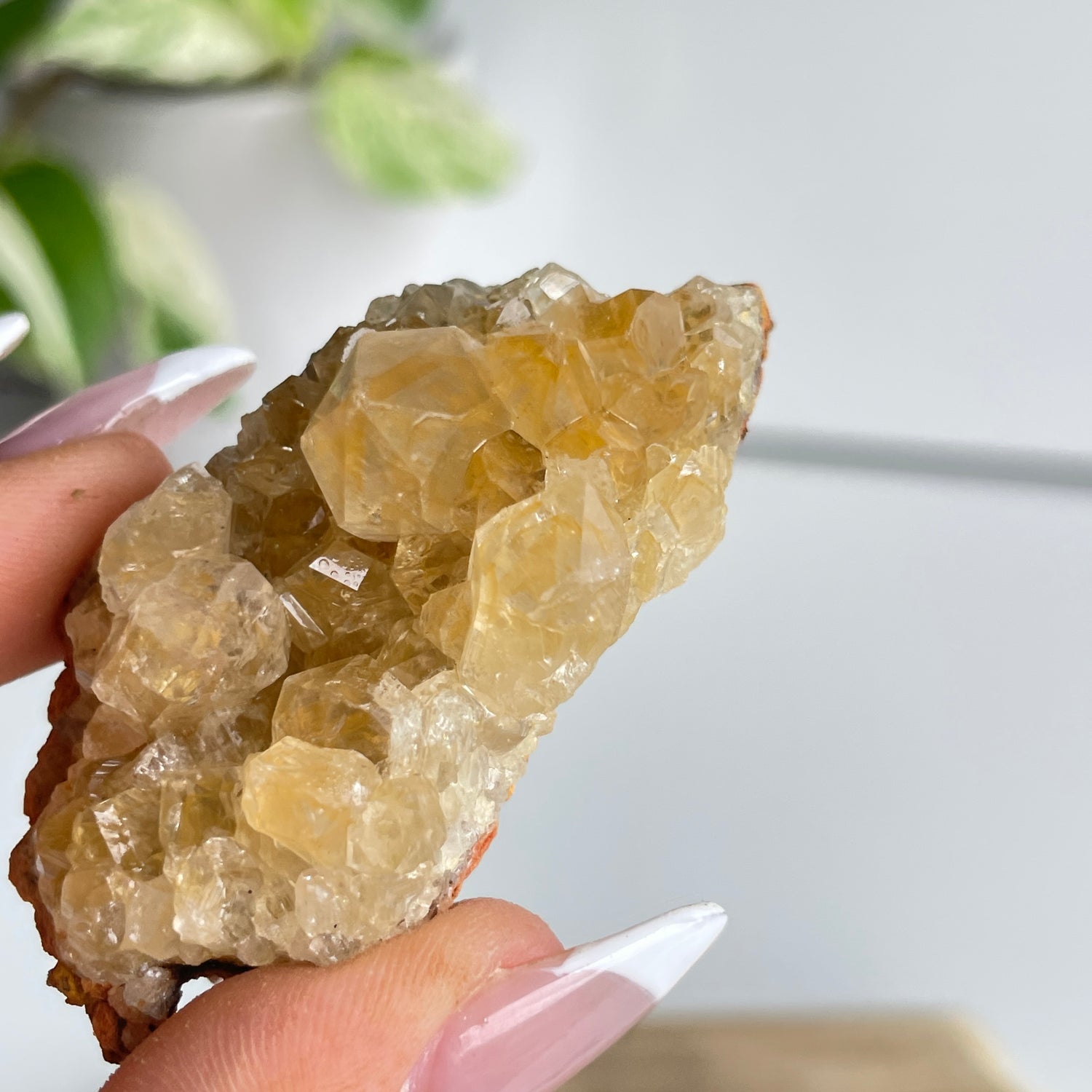 Limonite Quartz Cluster 34g