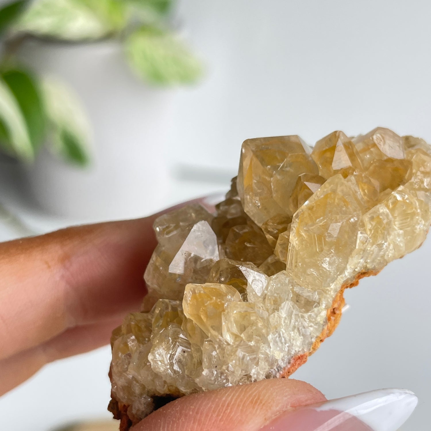 Limonite Quartz Cluster 34g