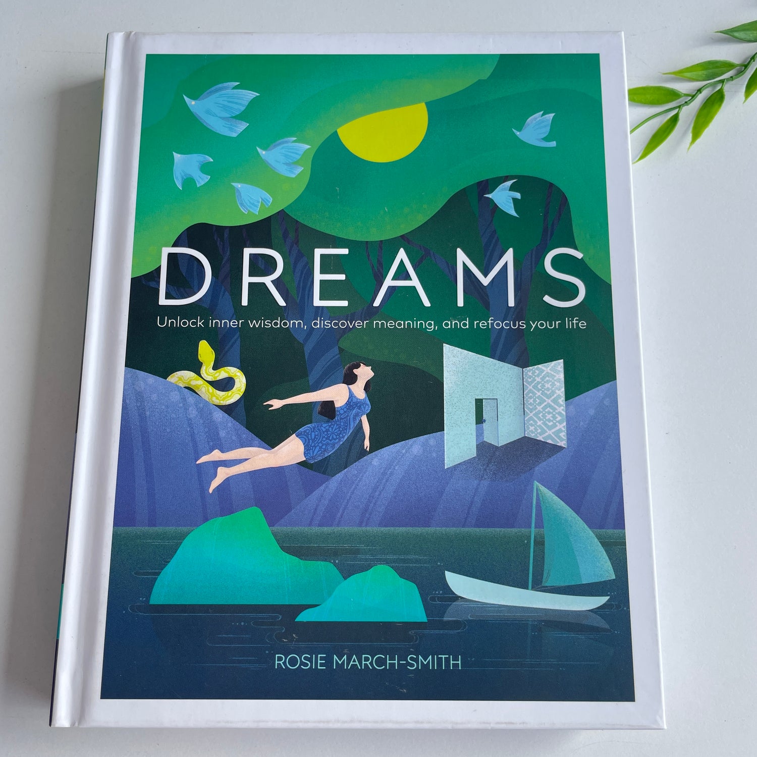 Dreams Rosie March Smith