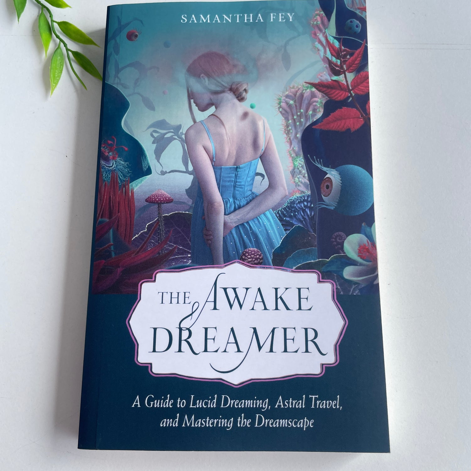 The Awake Dreamer Samantha Fey