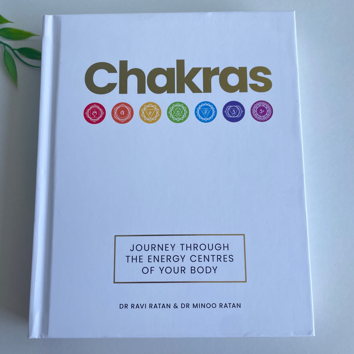 Journey Through The Chakras Ravi Ratan